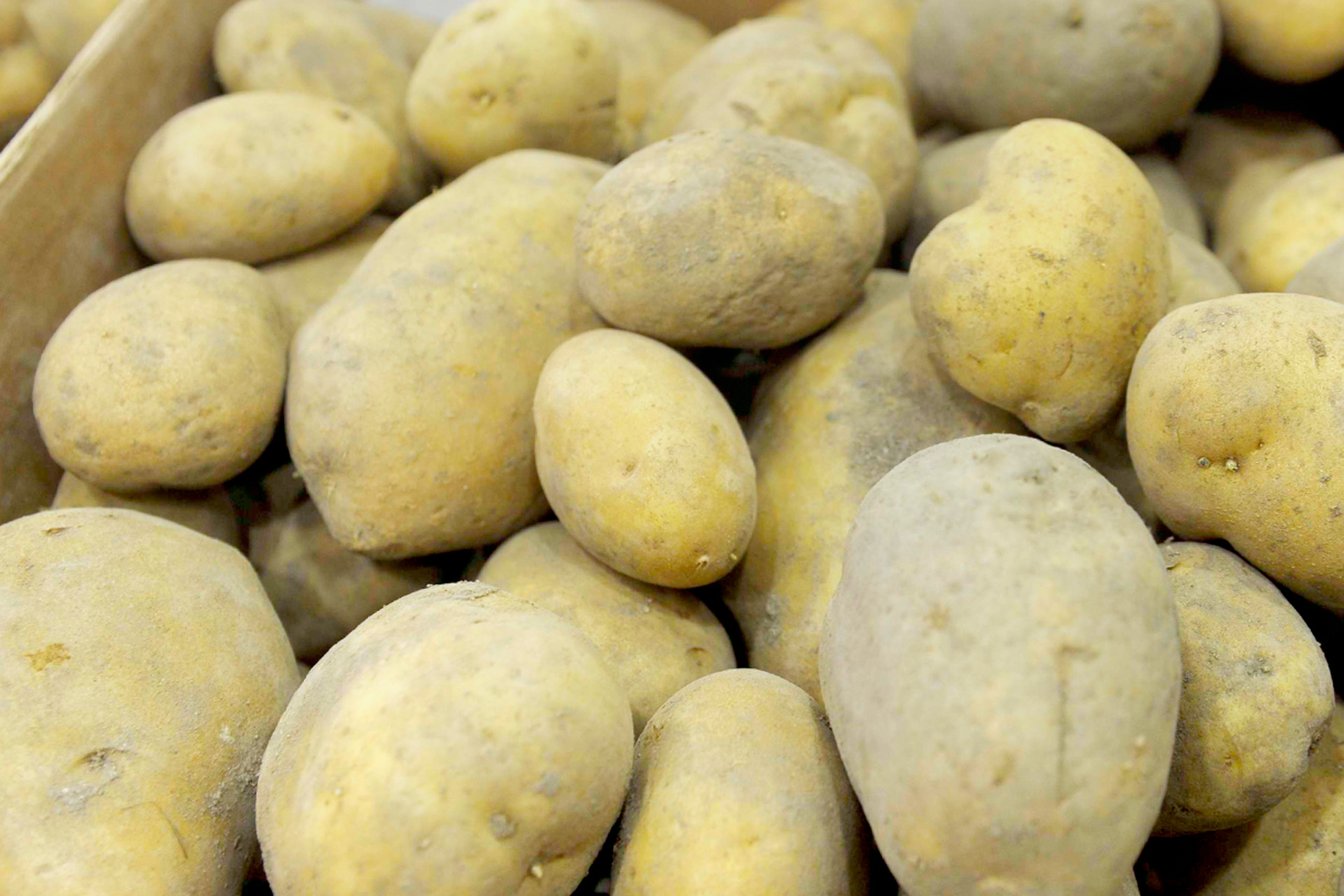 Frutas Verduras Hortalizas Patatas KAM9110