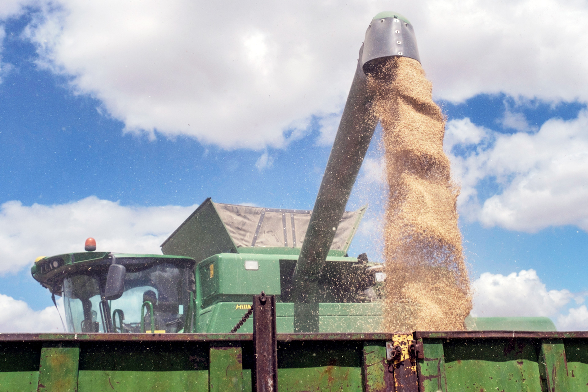 Valverde Agricultura Cosecha Cebada KAM5519