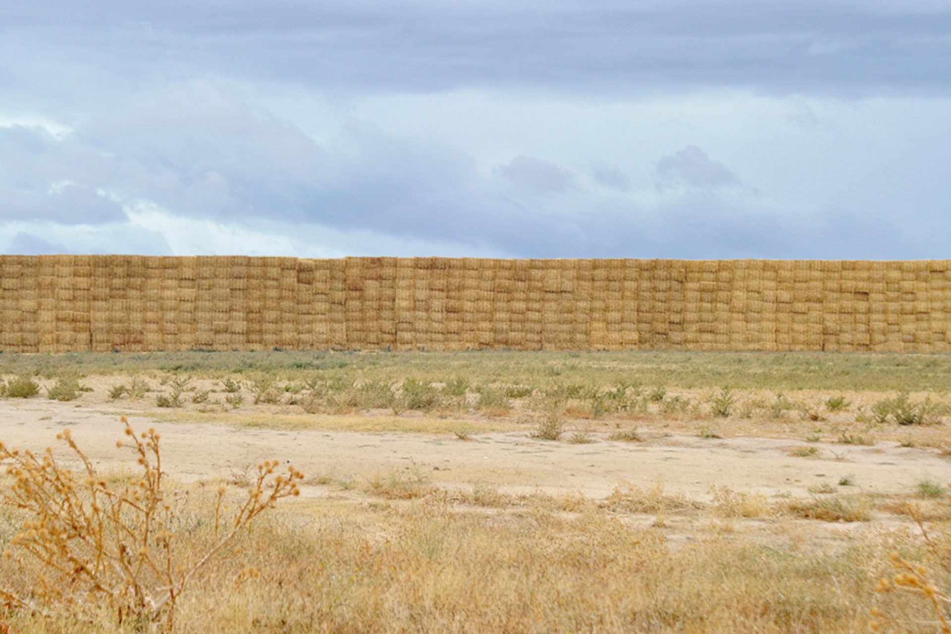 Valverde Balas Paja KAM7961