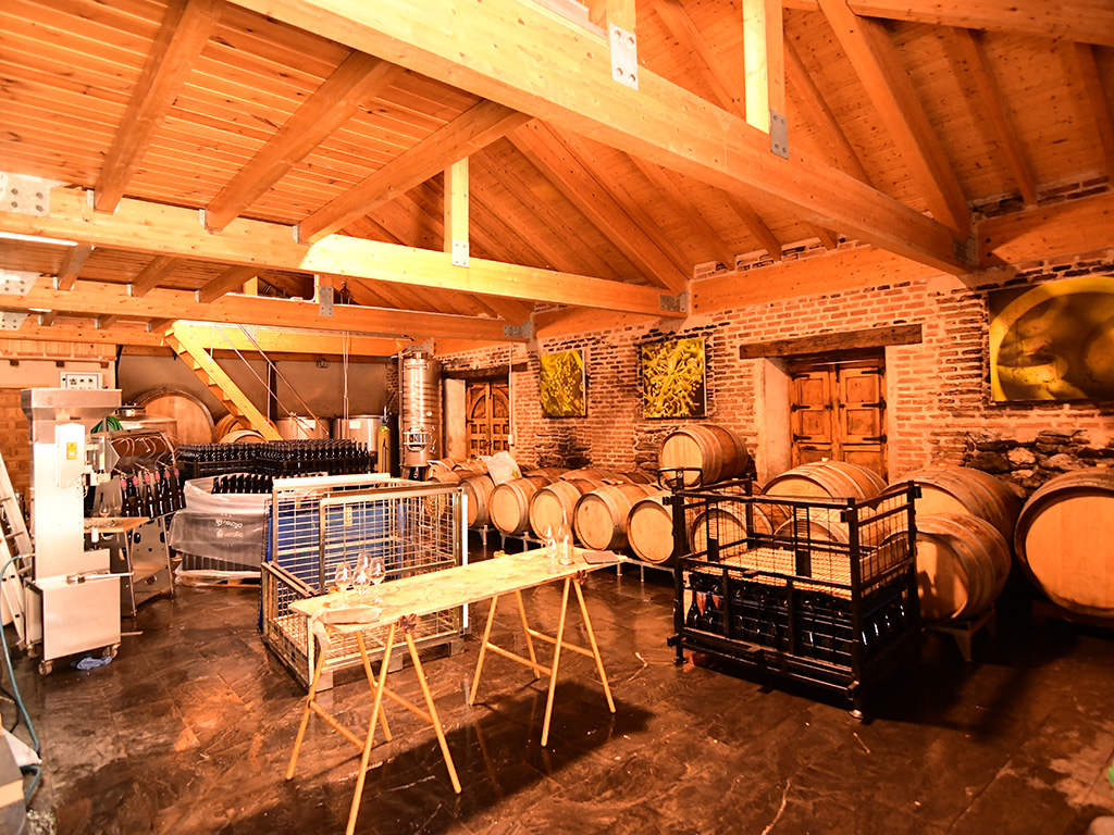 Vista del interior de una bodega de Nieva. / EL ADELANTADO