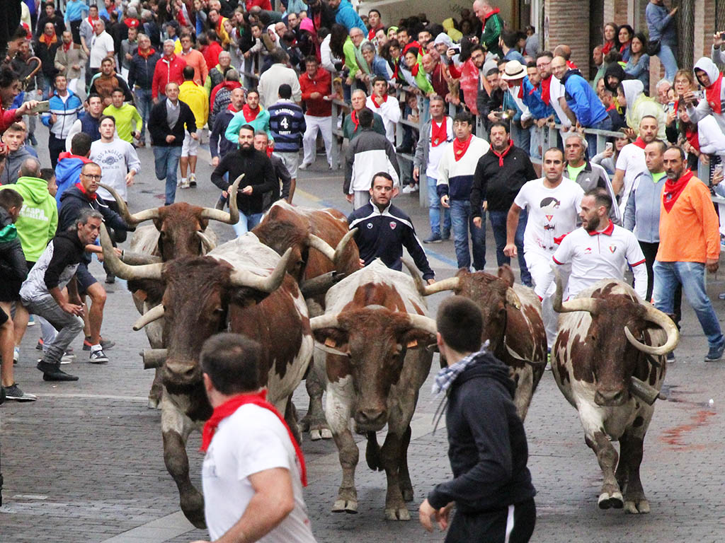 Encierro de Cuéllar. / C.N.