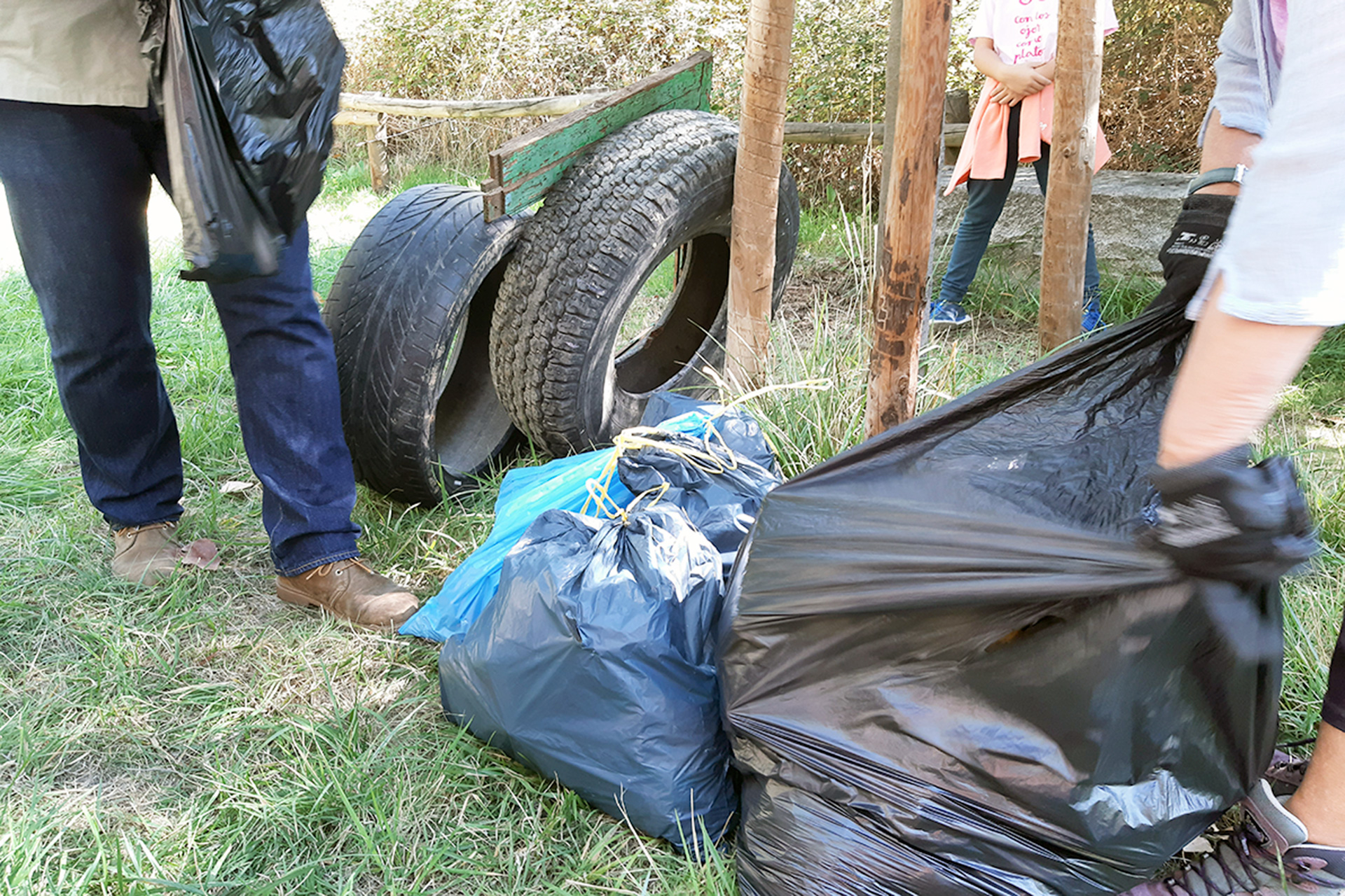 las arenas limpieza colectiva 1