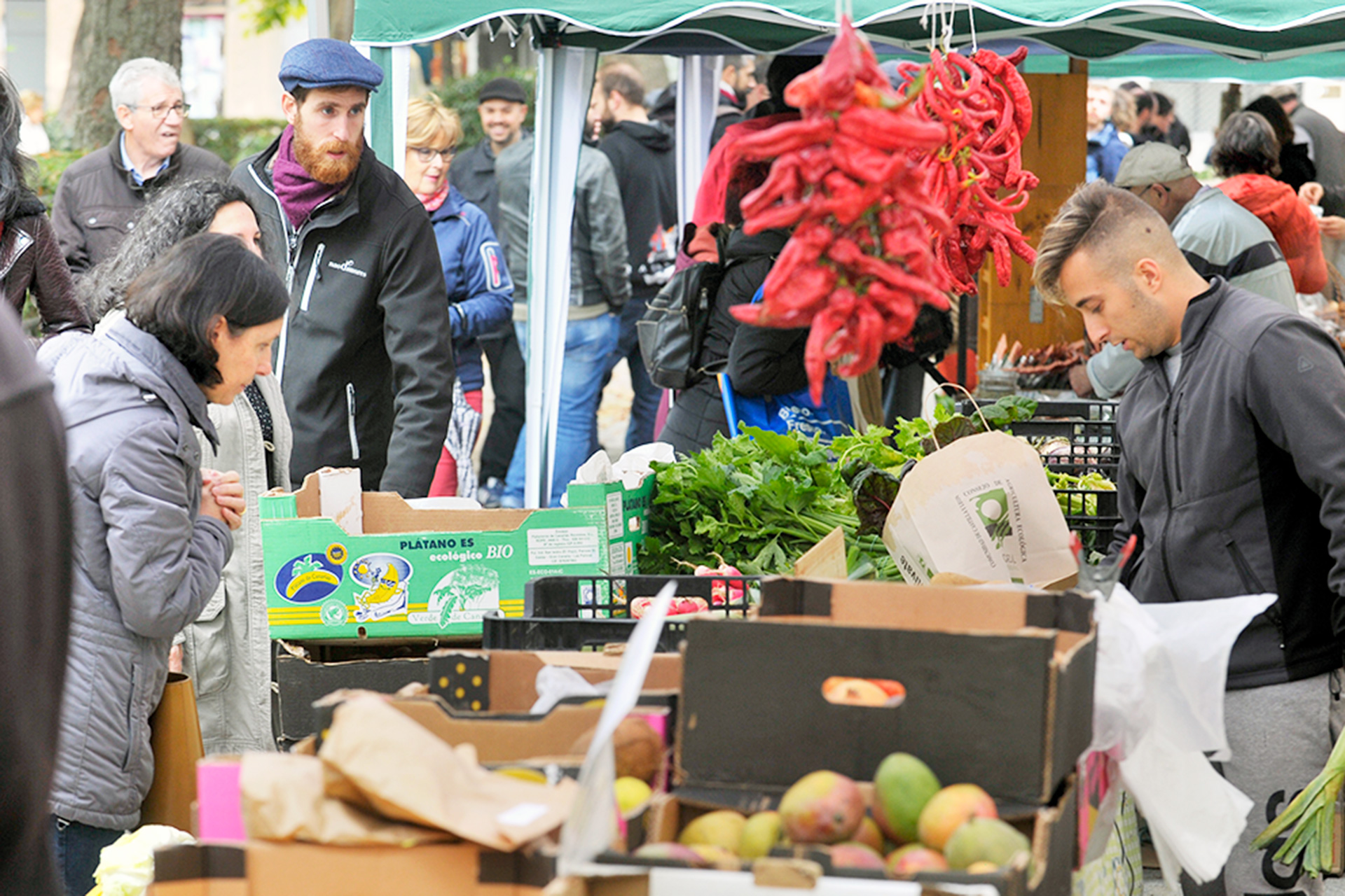 plaza Doctor Laguna Mercado Ecologico KAM2563