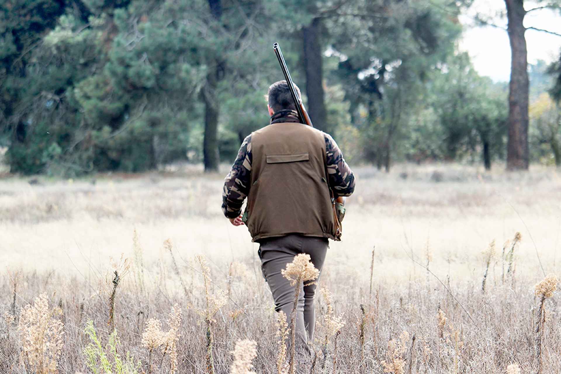 La delegación provincial de la Federación de Caza contabiliza unos 3.500 cazadores segovianos. / ANA Mª CRIADO