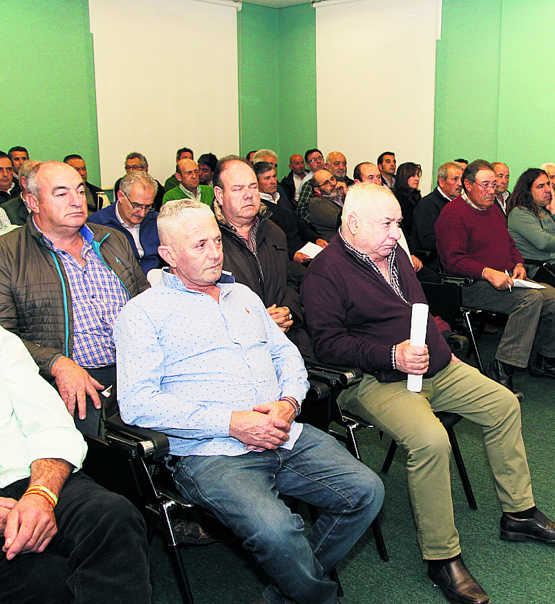 Foto de archivo de una reunión asamblearia de la Lonja.