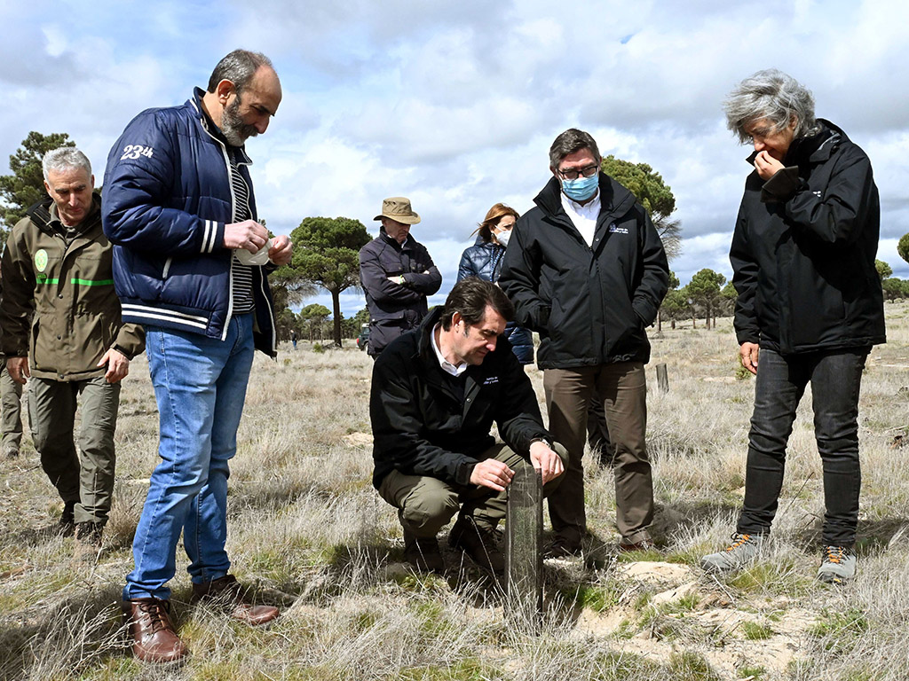 20220321REFORESTACIONNAVAASUNCION06