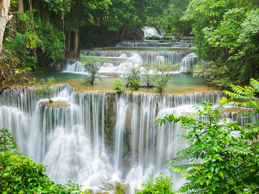Dia mundial del agua
