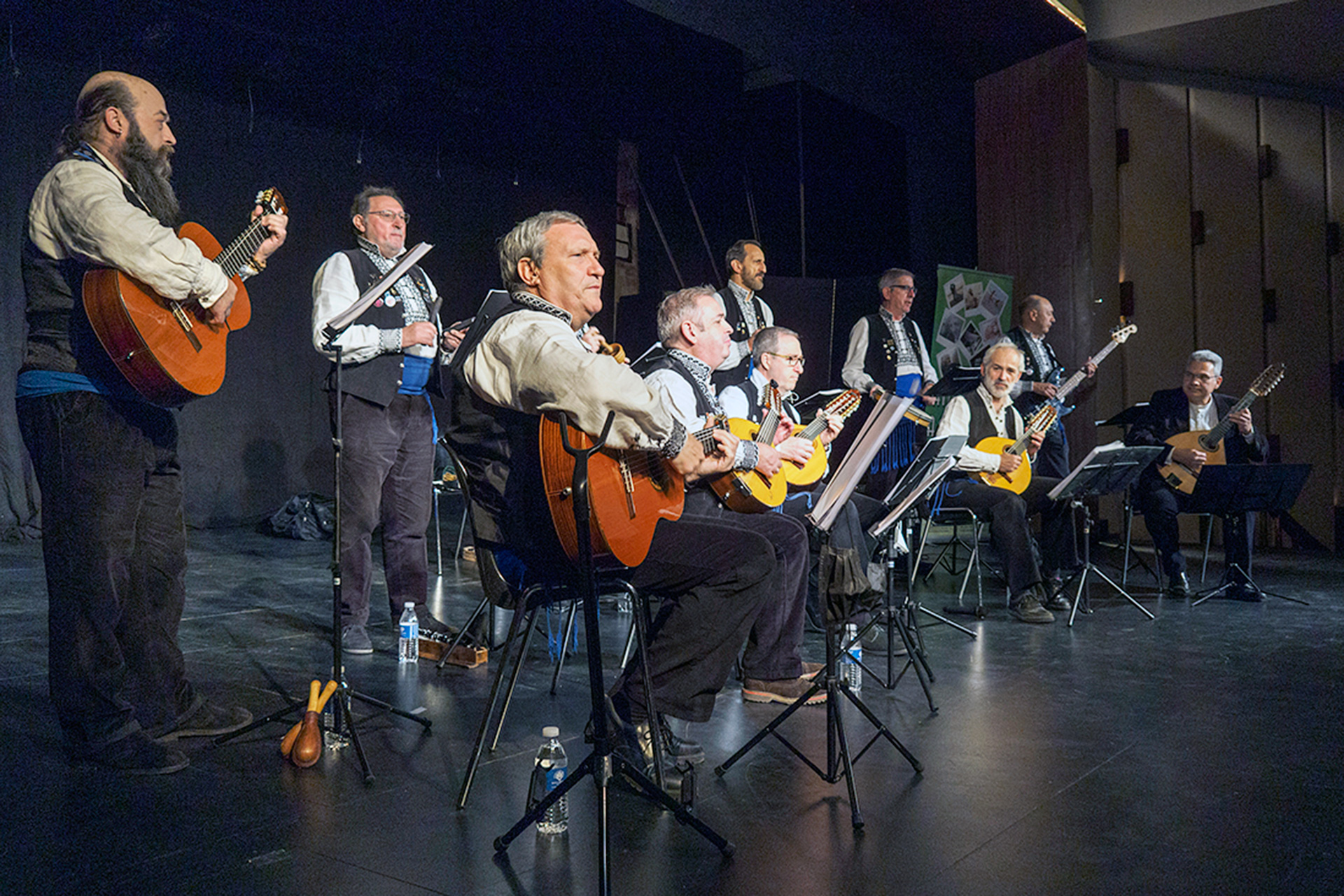 Federacion Asociaciones Vecinos Festival AFA Ronda Segoviana KAM4749 1