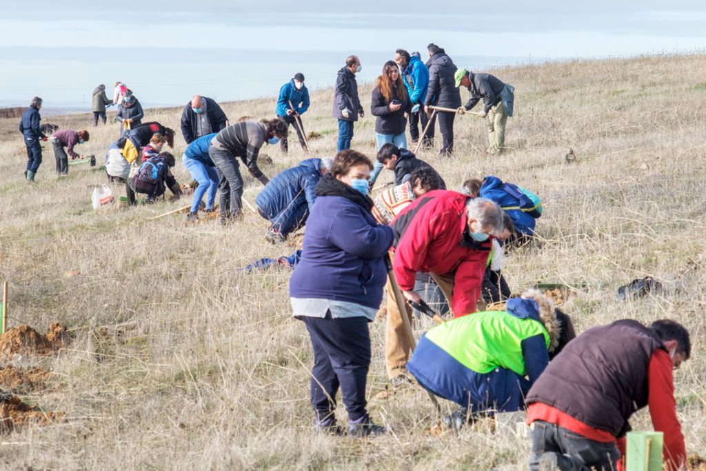 Penigoso Plantacion Arboles KAM9162