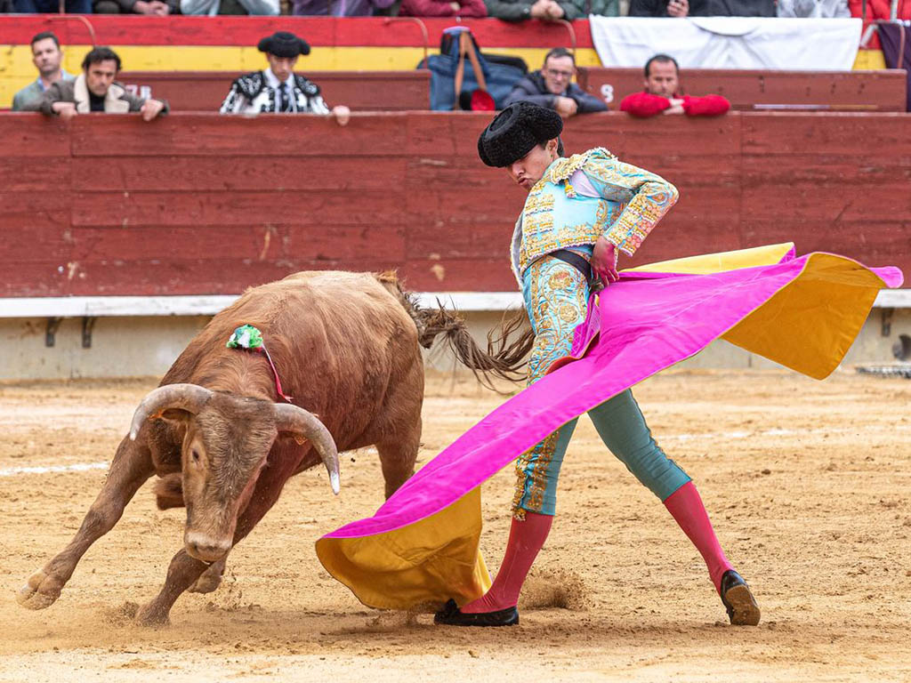 El novillero de la Escuela Taurina de Segovia Manuel Román, en Castellón. / MANOLO NAVARRO - COMUNICACIÓN TOROS CASTELLÓN