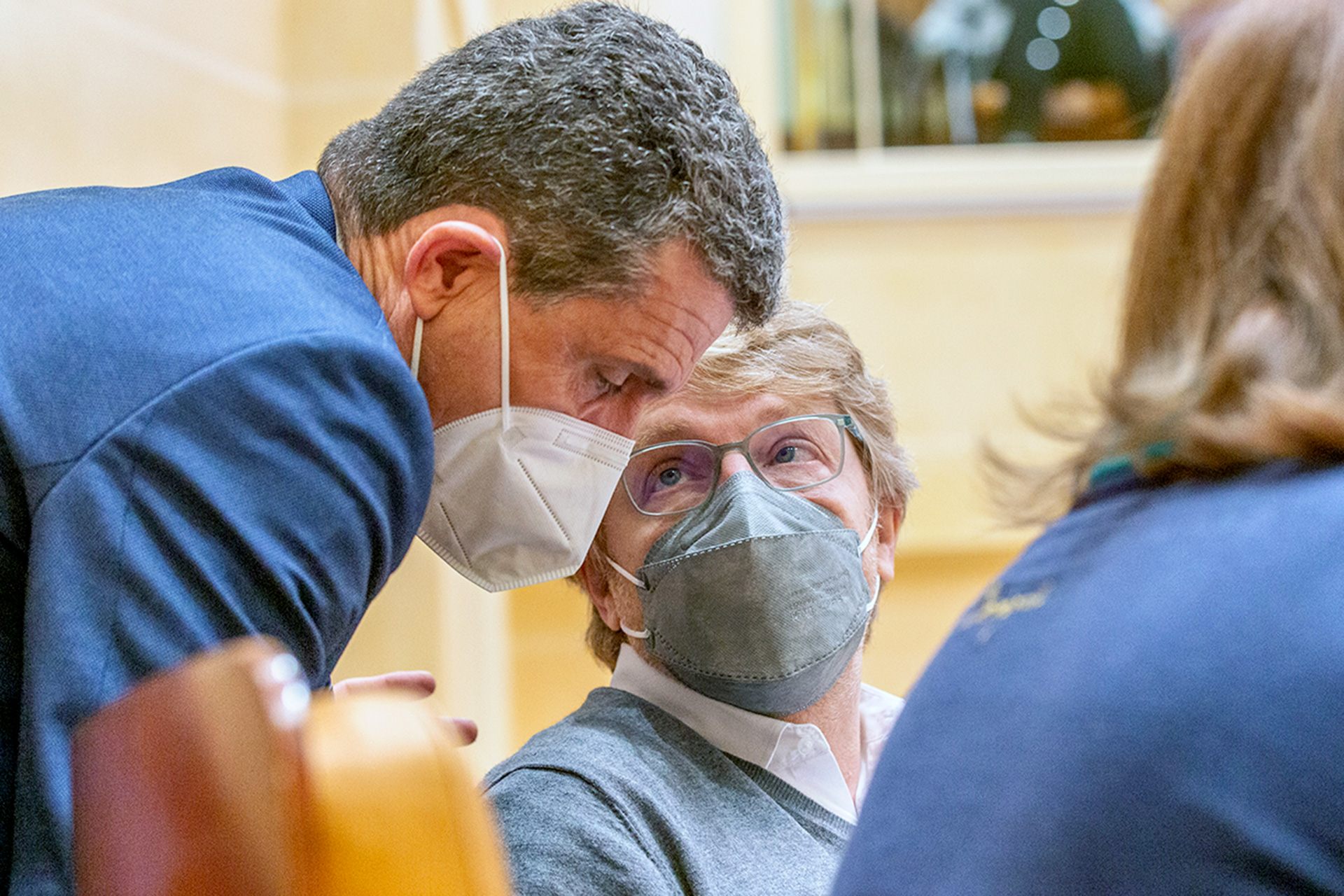 ayuntamiento pleno 29