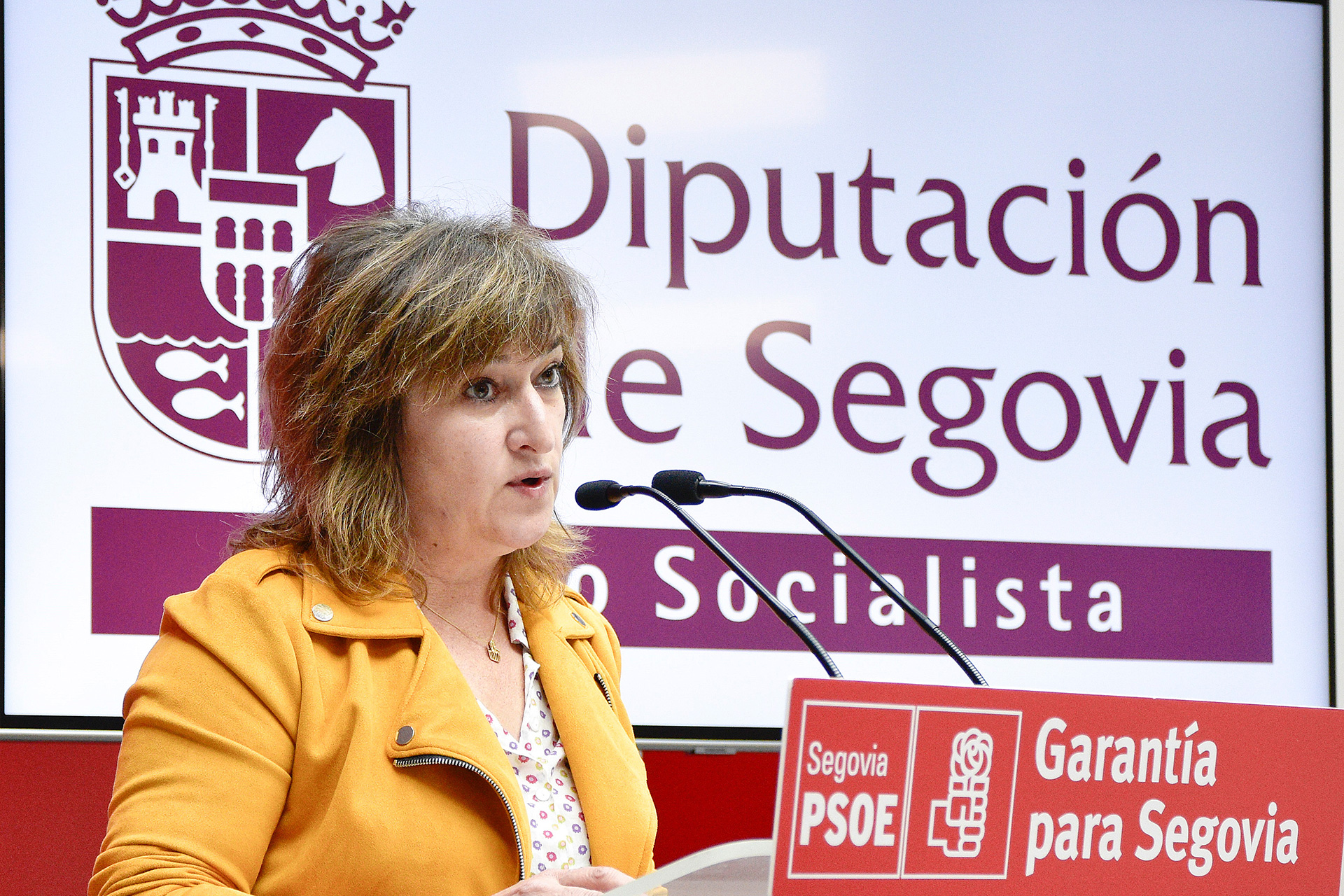 diputacion psoe rp gloria hernando