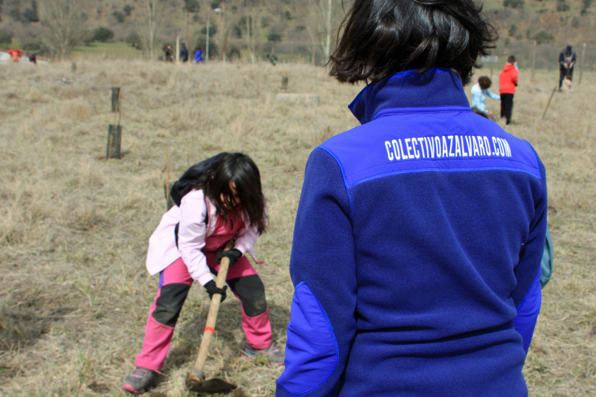 el espinar colectivo azalvaro plantacion dia arbol 2