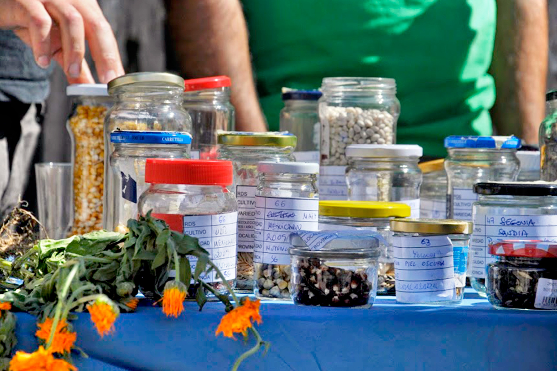 A lo largo de la jornada estará abierta la mesa de intercambio de semillas. /E.A.