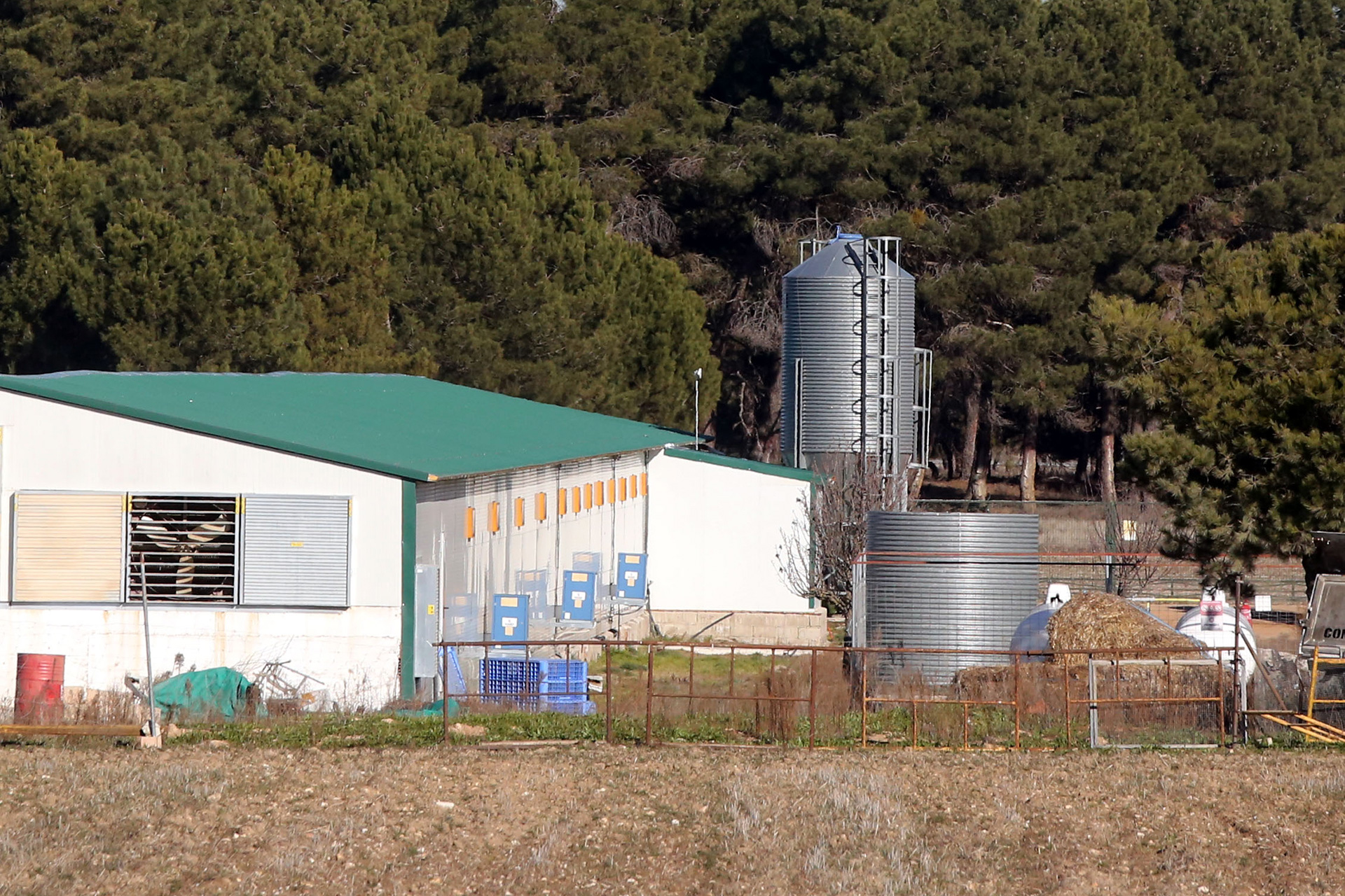 fuenterrebollo granja pavos gripe aviar 678