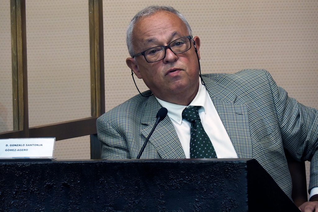 Gonzalo Santonja, durante una conferencia celebrada en Segovia. / KAMARERO Gonzalo Santonja, durante una conferencia celebrada en Segovia. / KAMARERO
