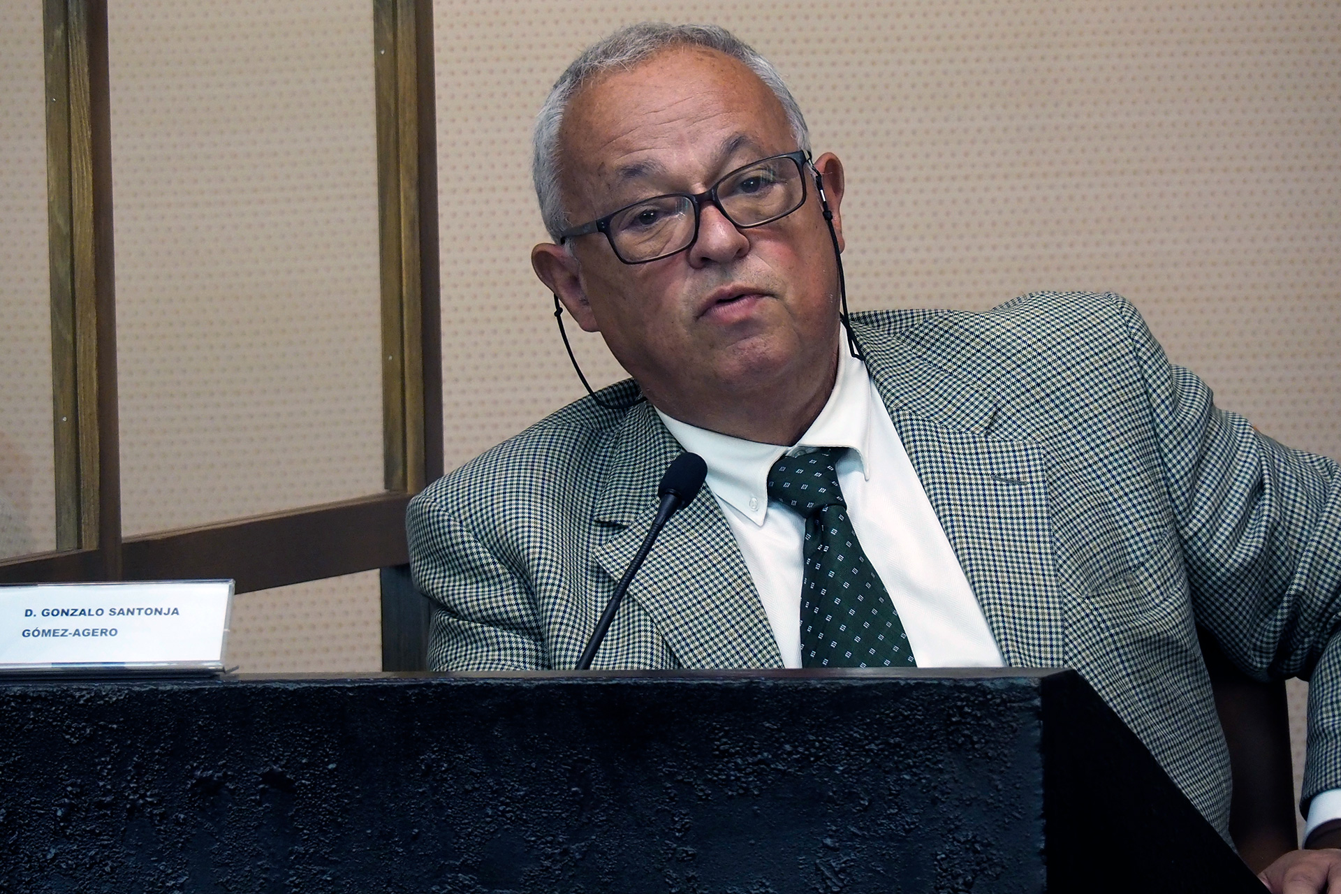 Gonzalo Santonja, durante una conferencia celebrada en Segovia. / KAMARERO