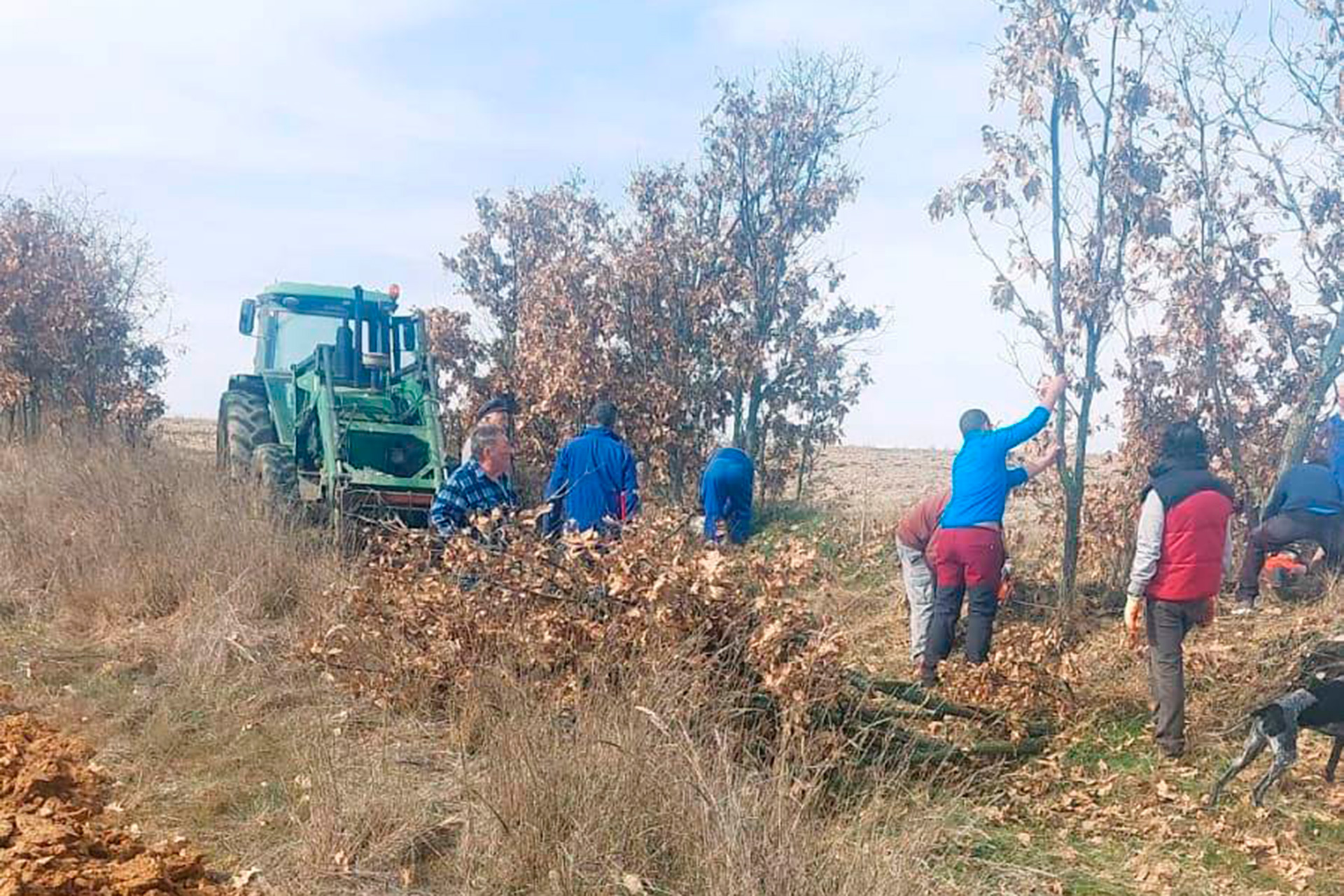hacenderas carnaval san pedro 03