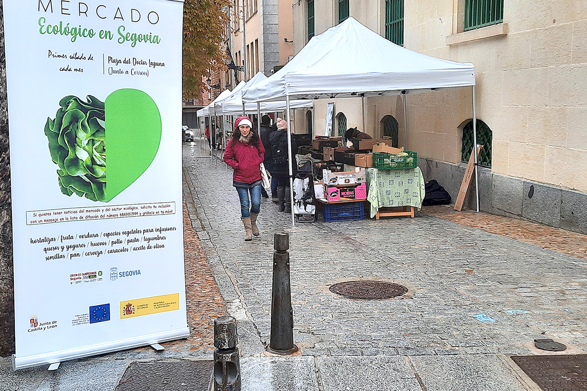mercado productos ecologicos union campesinos 2