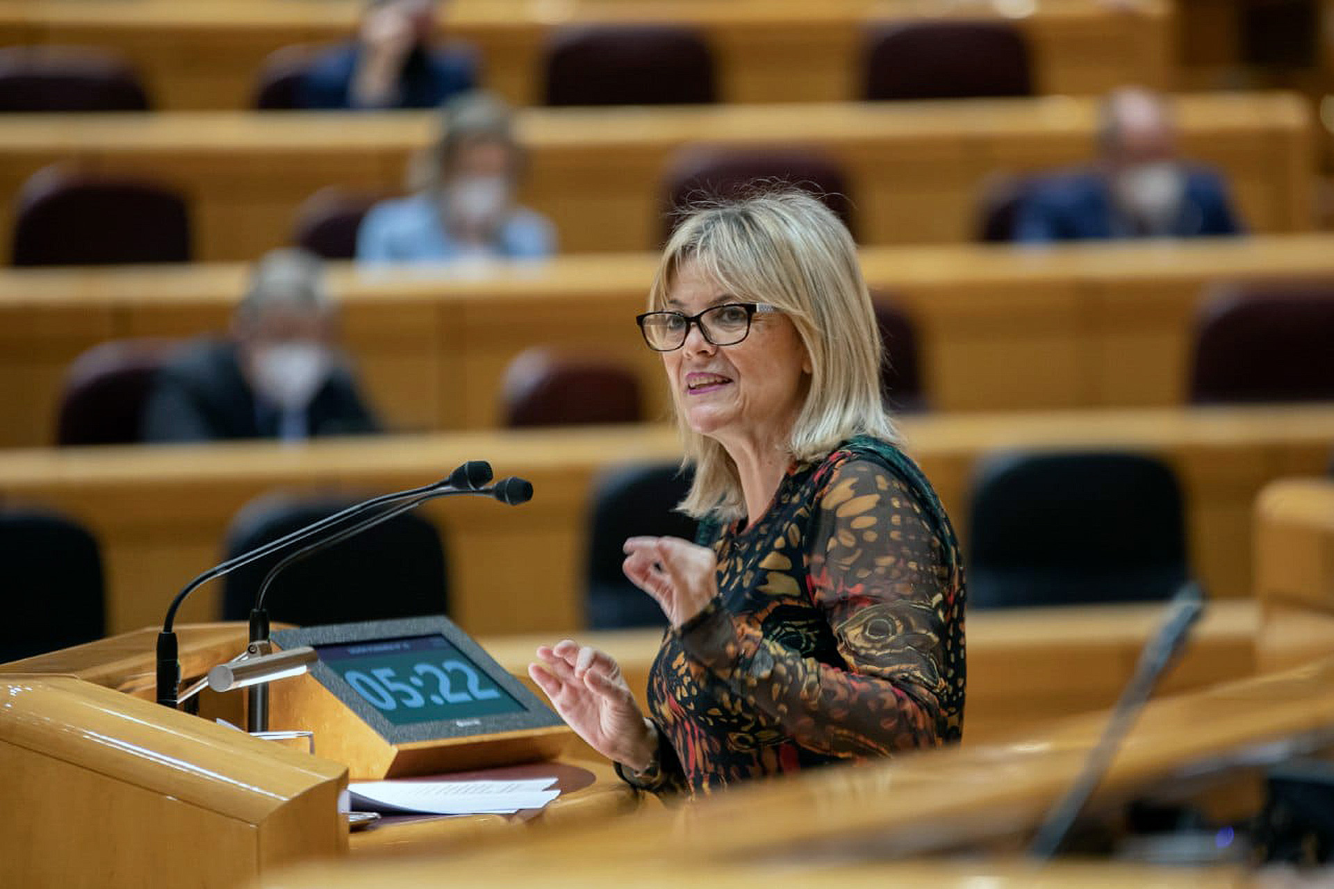 psoe ana agudiez senado