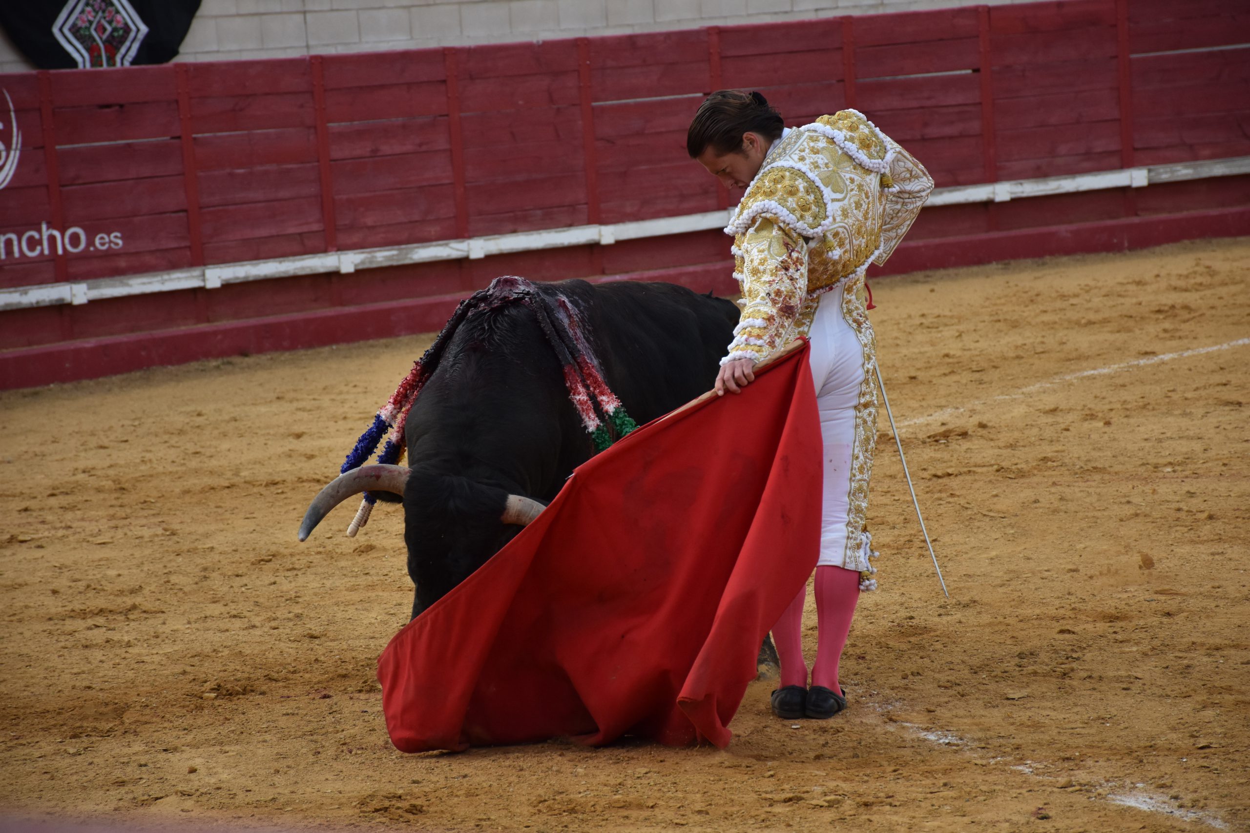 El diestro sevillano Lama de Góngora torea a pies juntos, en la plaza de Cantalejo. / A.M.