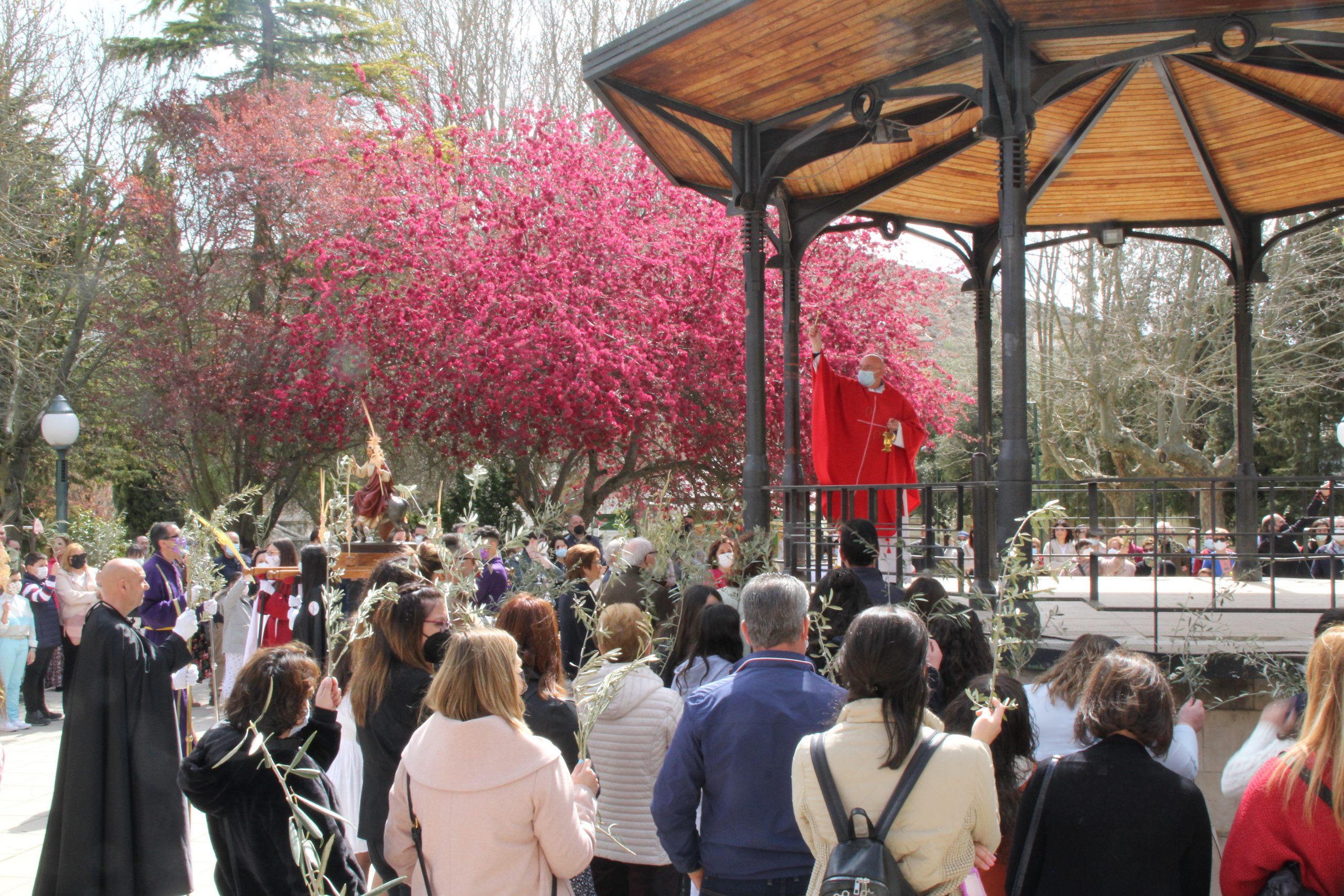Domingo de Ramos, en Cuéllar. / C.N.