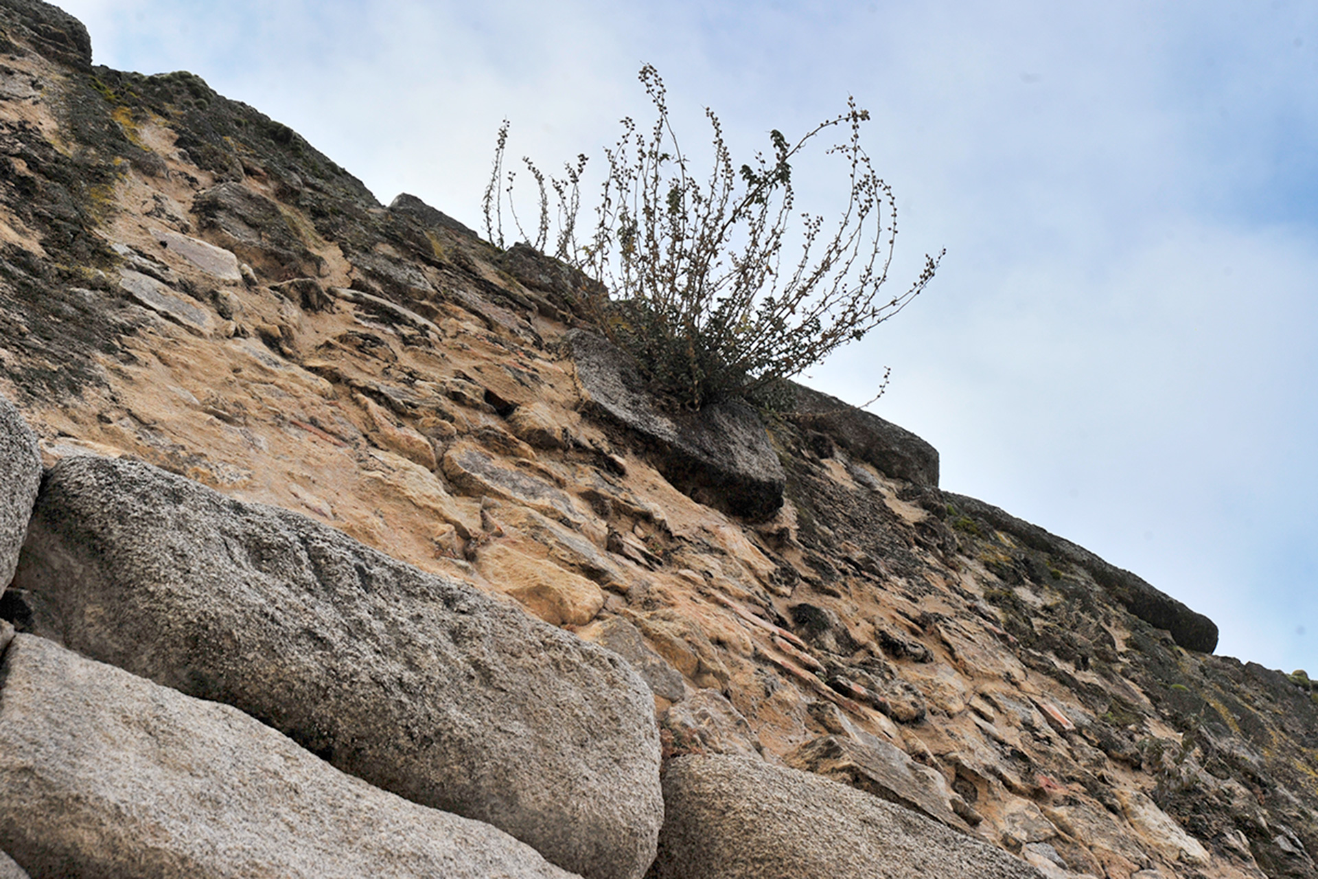 Acueducto Vegetacion