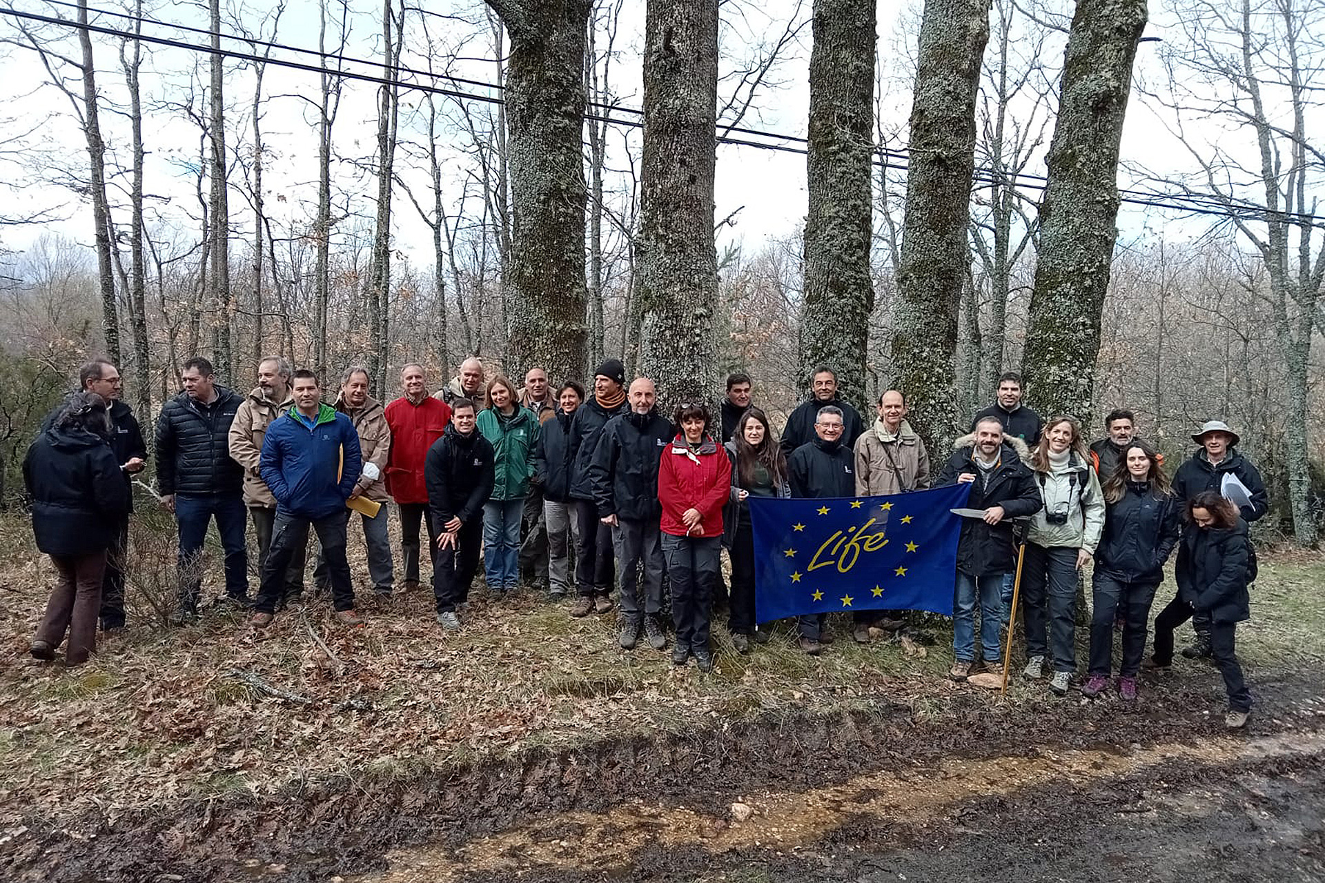 Expertos, durante su visita a los bosques de rebollares de Riaza. /E.A.