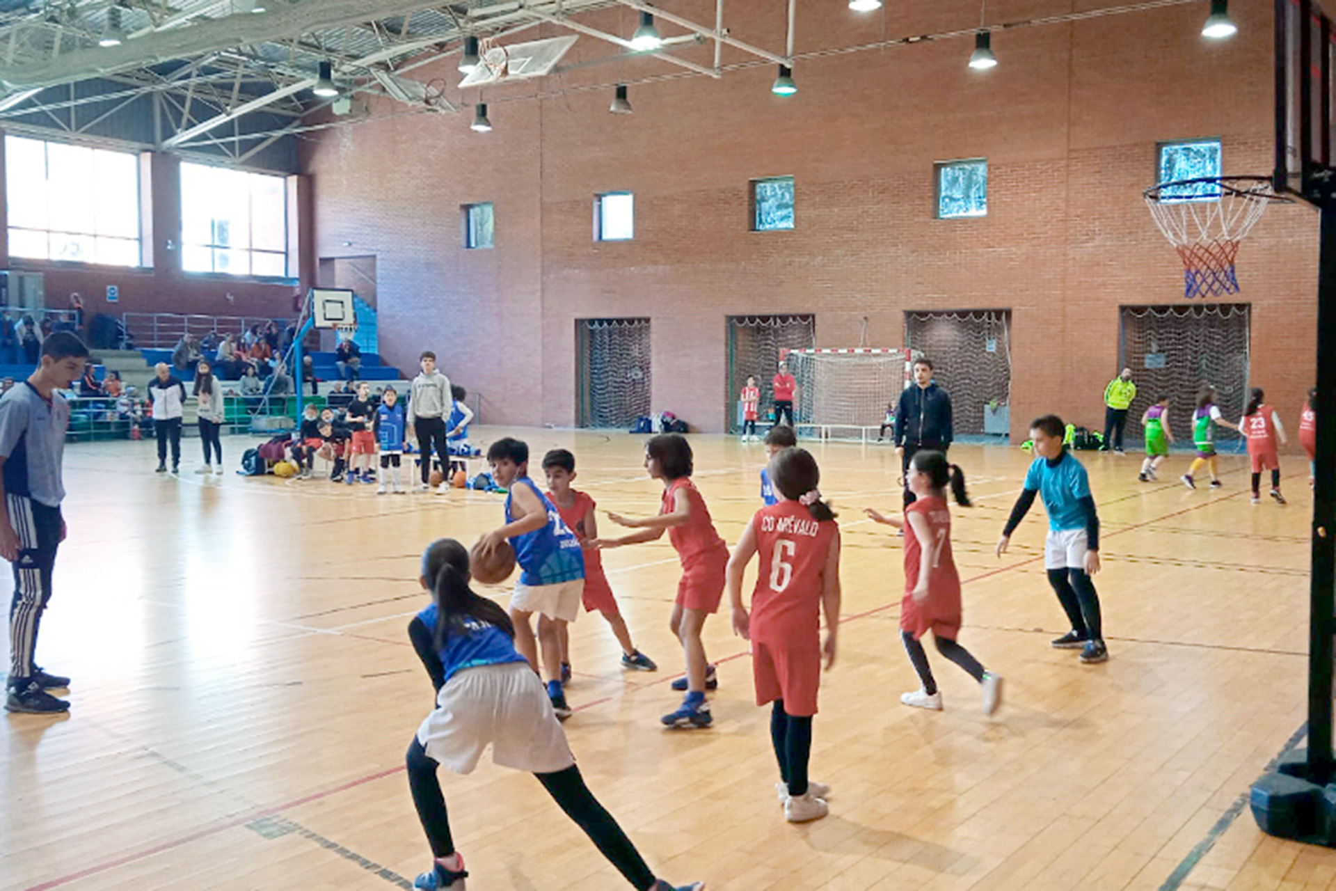 baloncesto el espinar escolar jabalines 1