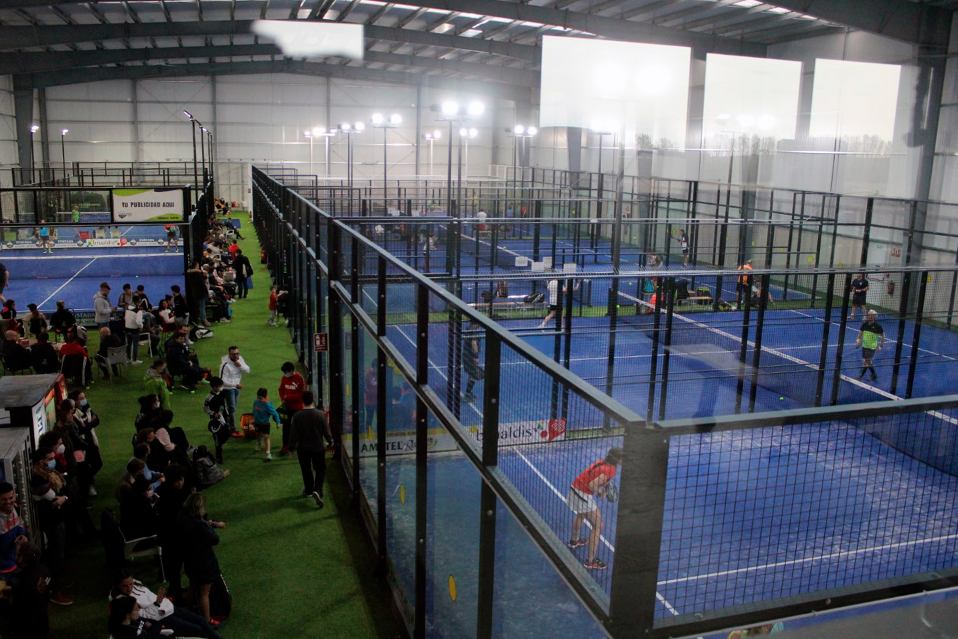 padel provincial