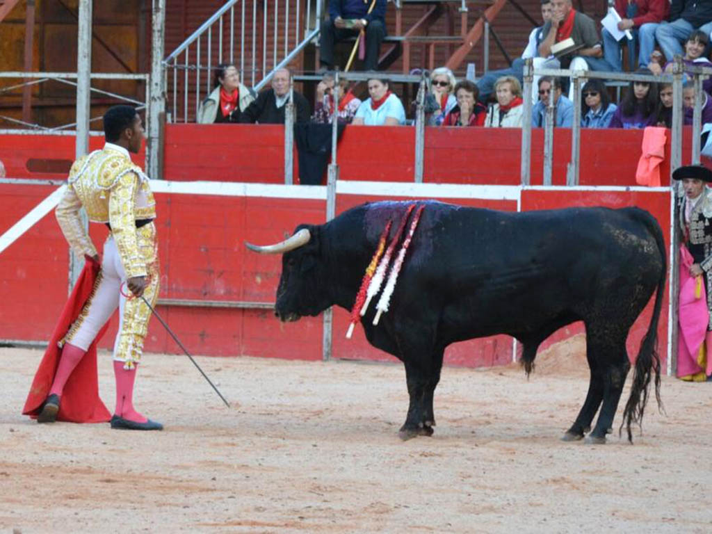 El novillero Ígor Pereira, en Riaza. / @IGORPEREIRANOV