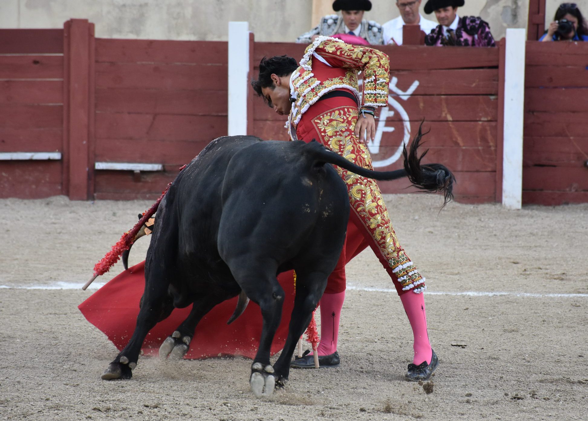 Pablo Jaramillo, en Valsaín con el primero de su lote de Los Requiles. / A.M.