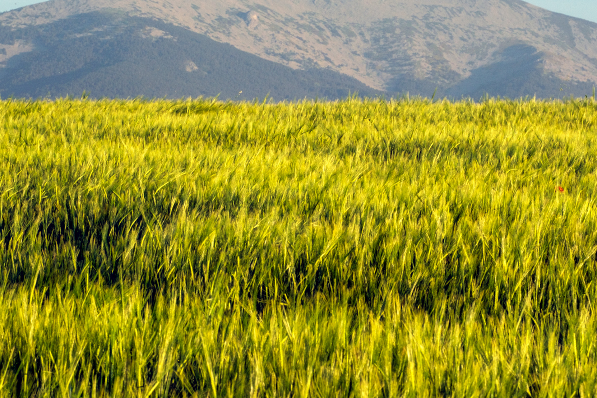 La guerra en Ucrania mantiene bloqueados millones de toneladas de cereales en el interior del país.
