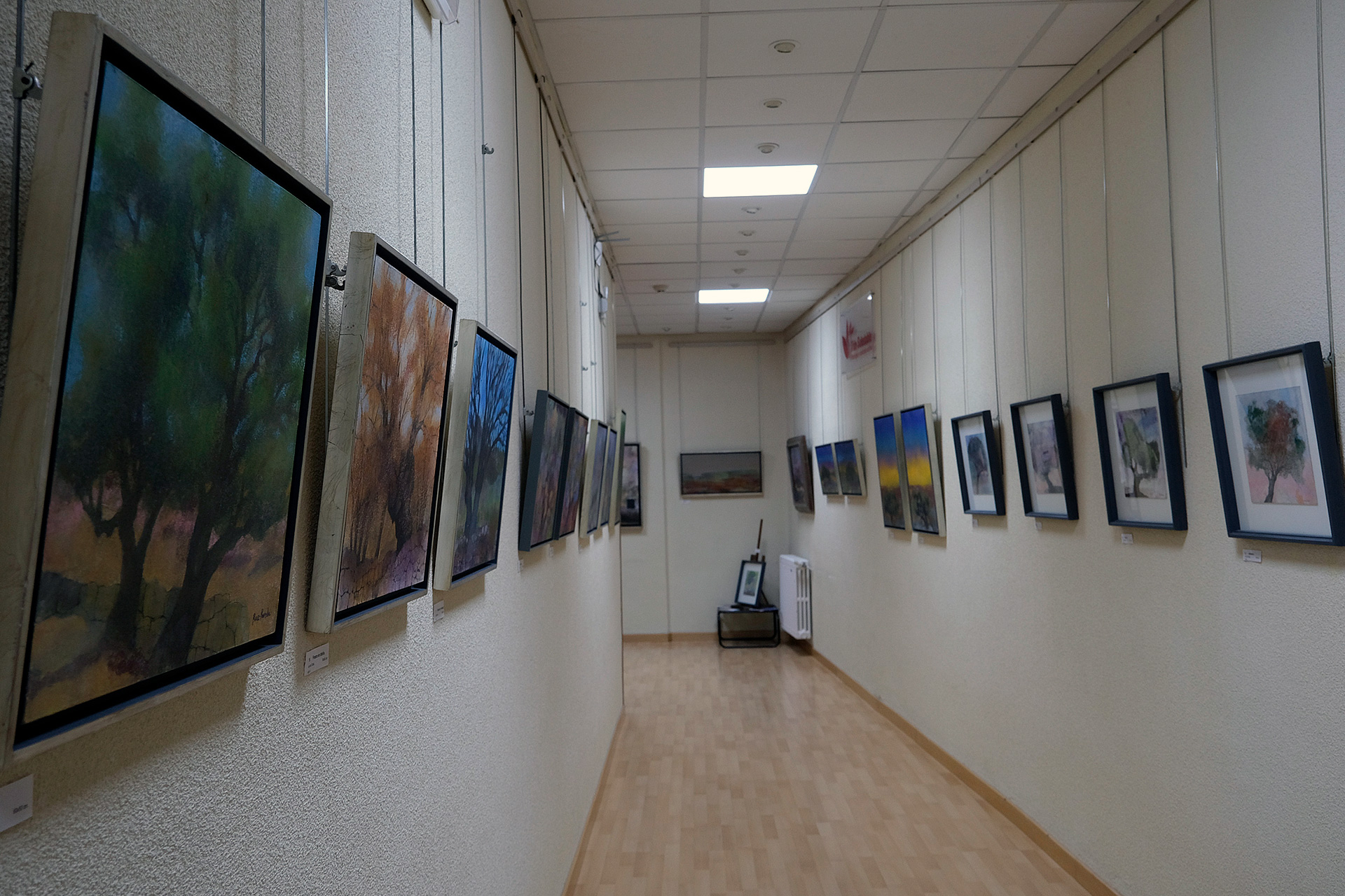 Centro Senior Corpus Expo Miguel Ruiz Poveda Arboles Soledades KAM2654