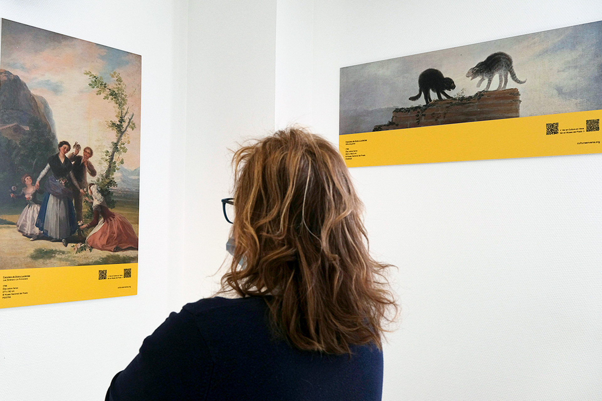 Expo Goya En Un Hospital