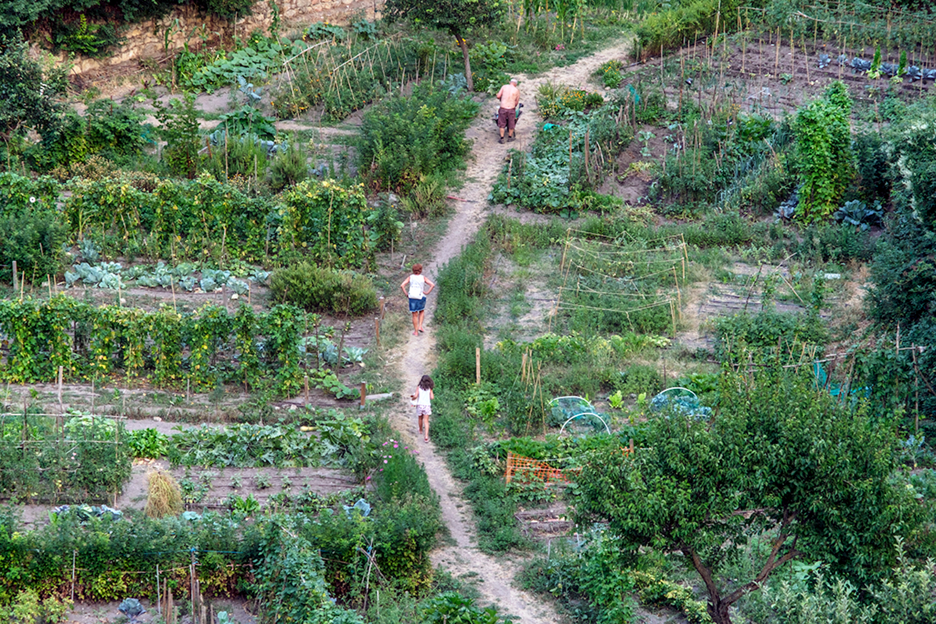 Huertas Ocio Valle Clamores KAM8856