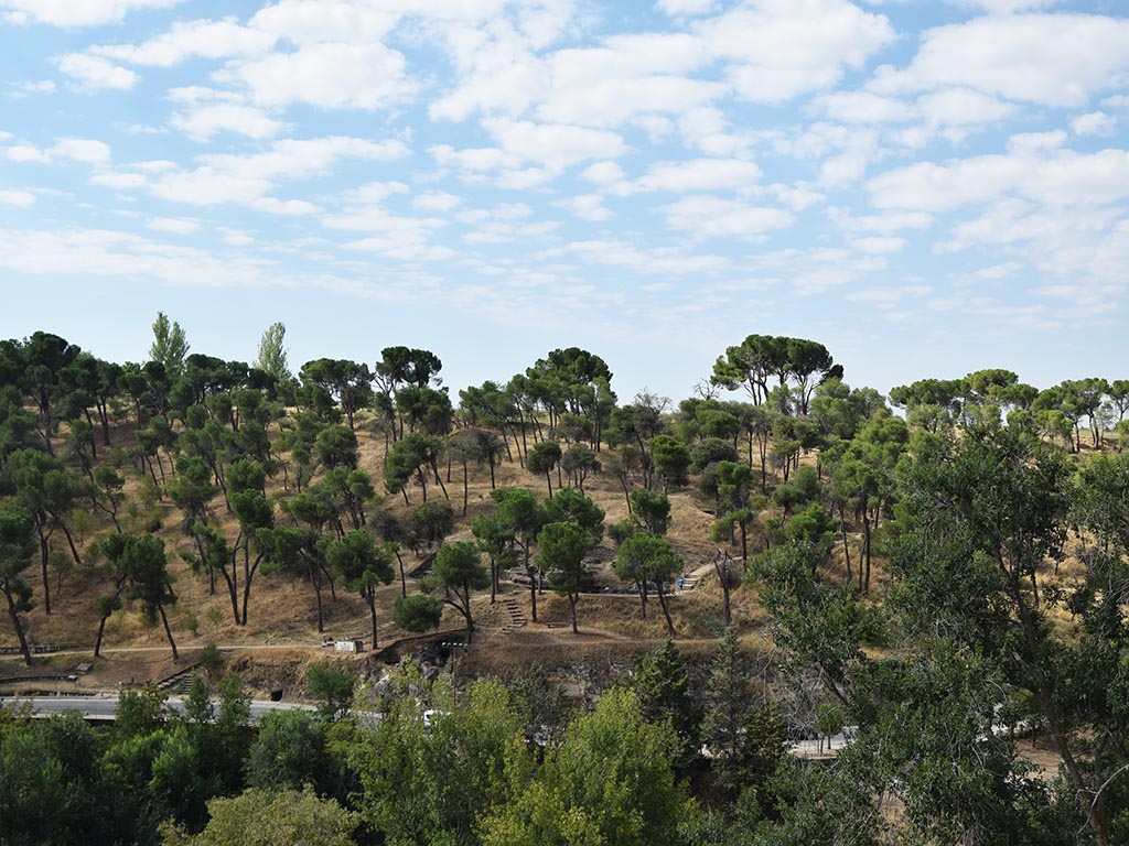 Paraje de 'El Pinarillo', en Segovia. / ROCÍO PARDOS
