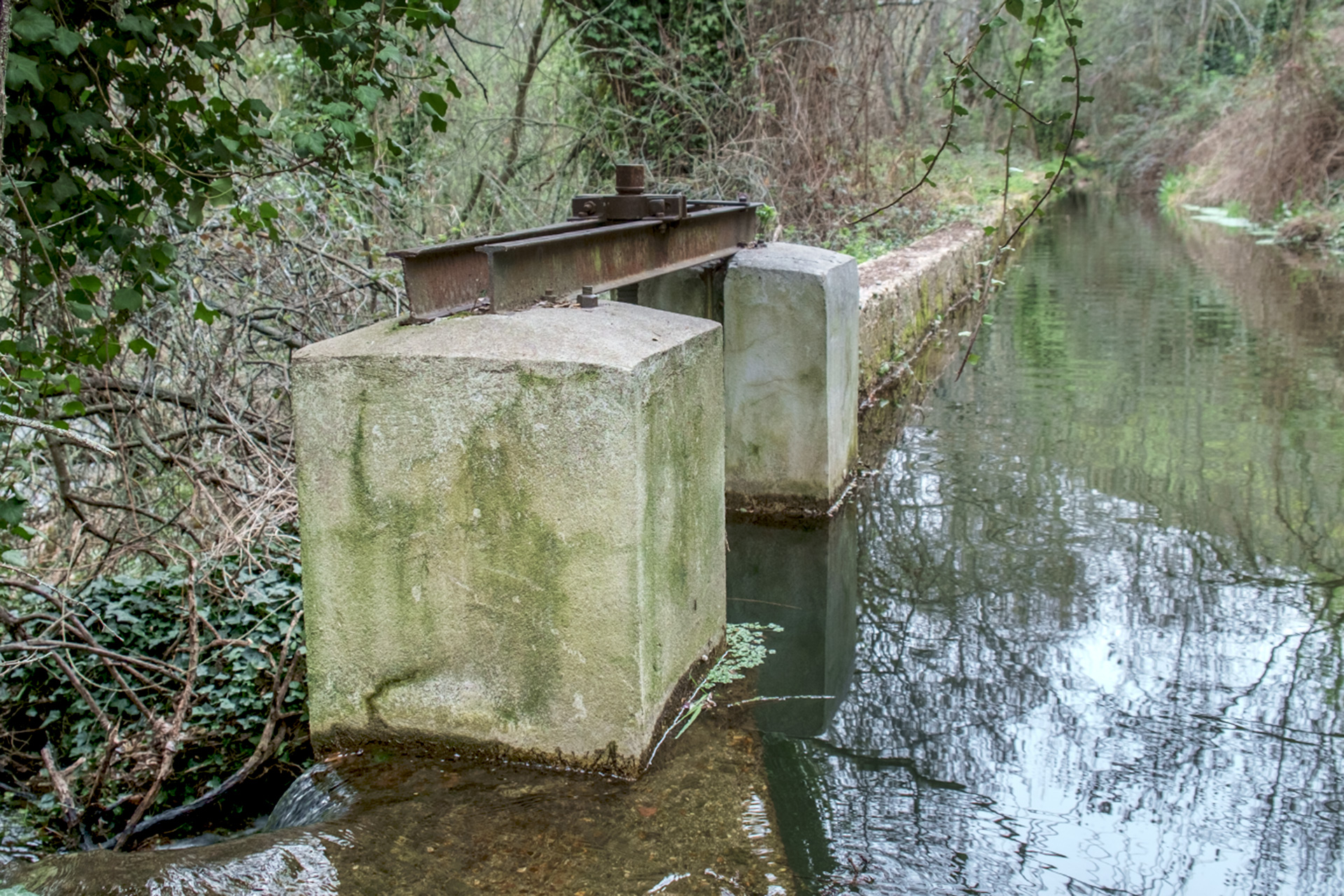 La cacera de San Lorenzo aspira a seguir siendo un referente cultural y medioambiental en la capital. / KAMARERO