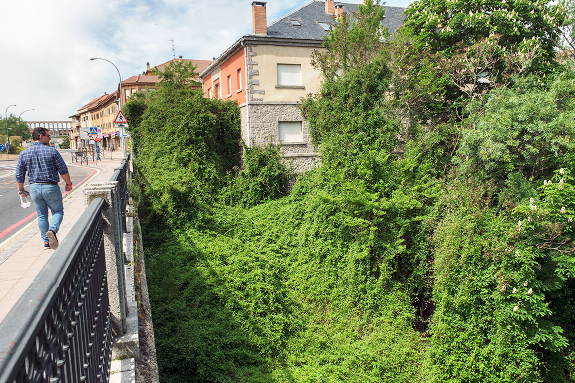 Via Roma Puente San Lorenzo Vegetacion KAM8378