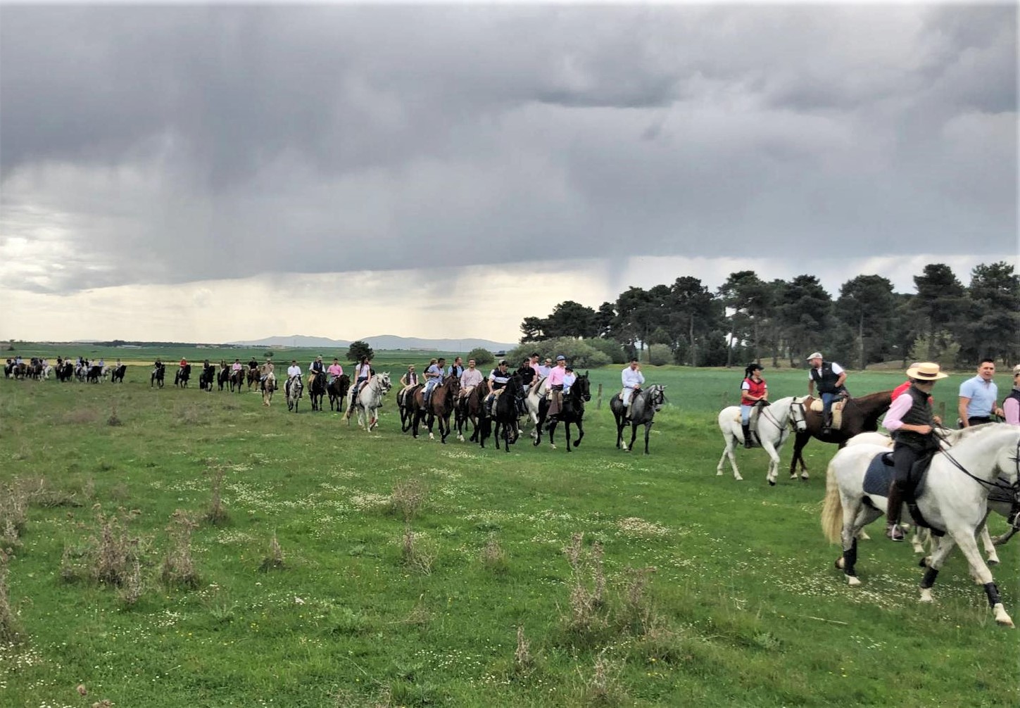 El evento en Cantalejo congregó a aproximadamente un centenar de caballos. / E. A.