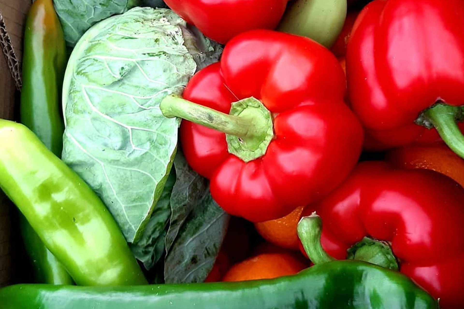 Los frutos de la huerta y cómo cultivarlos centrarán las primeras jornadas. /E.A.