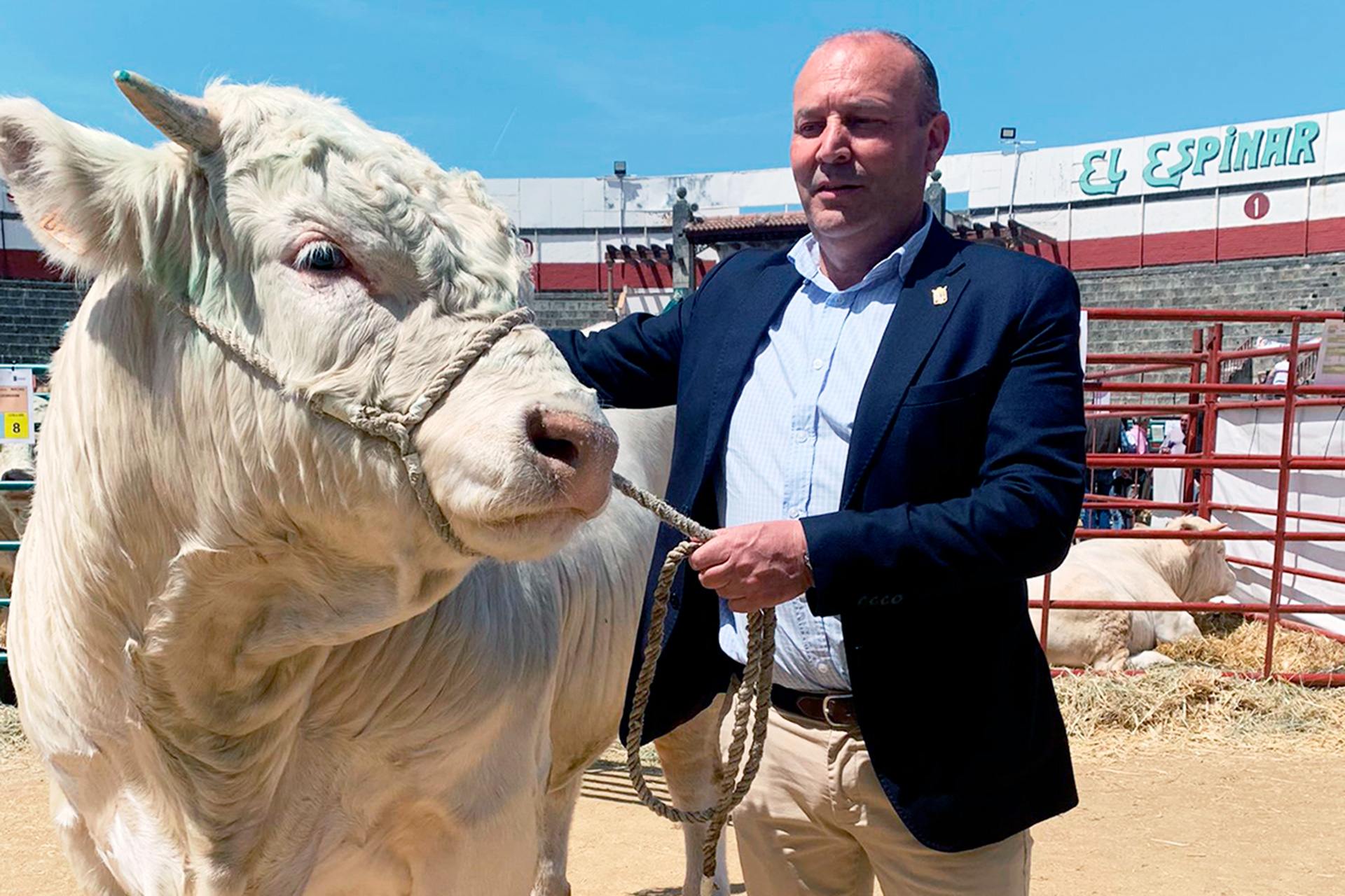 el espinar javier hernando feria ganado