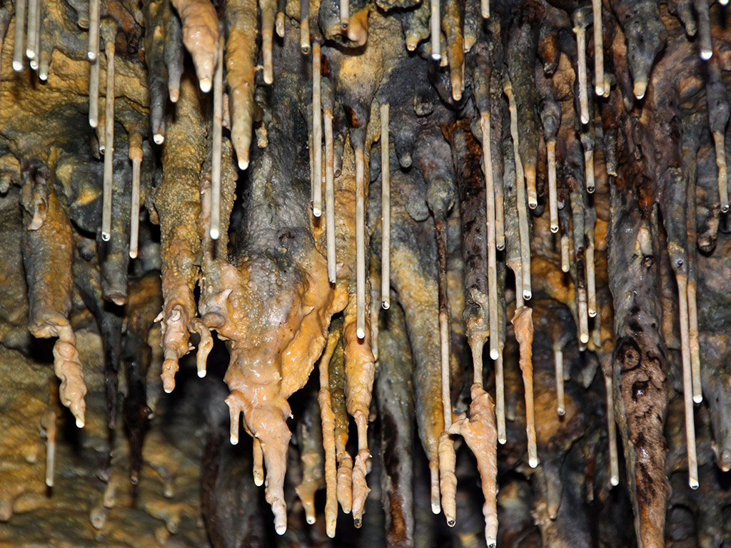Cueva de los Enebralejos