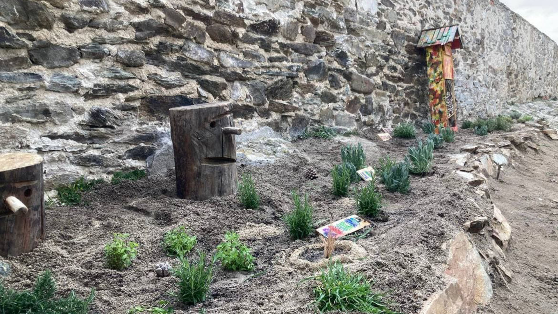 Se han sembrado diversas plantas aromáticas que sirven de alimento a las mariposas. /E.A.