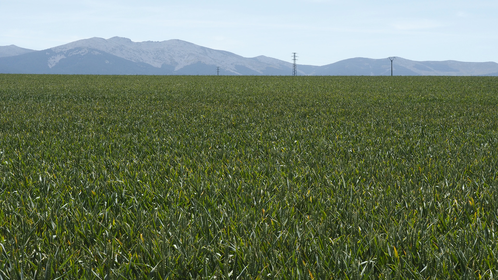 Segovia, escenario ideal para las energías renovables 1 14 1nerea opcion2 WEB