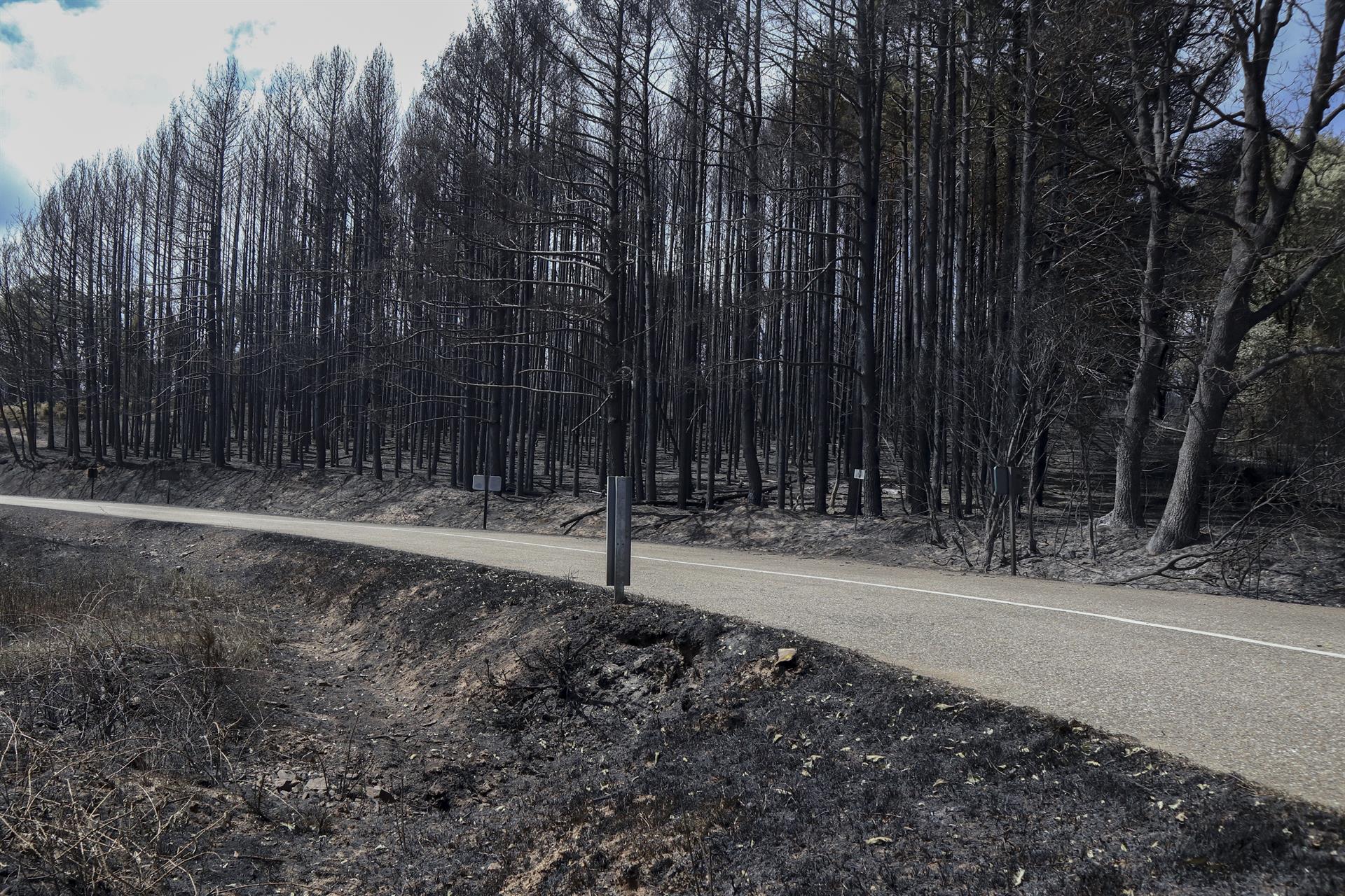 Incendio Zamora sierra de la Culebra