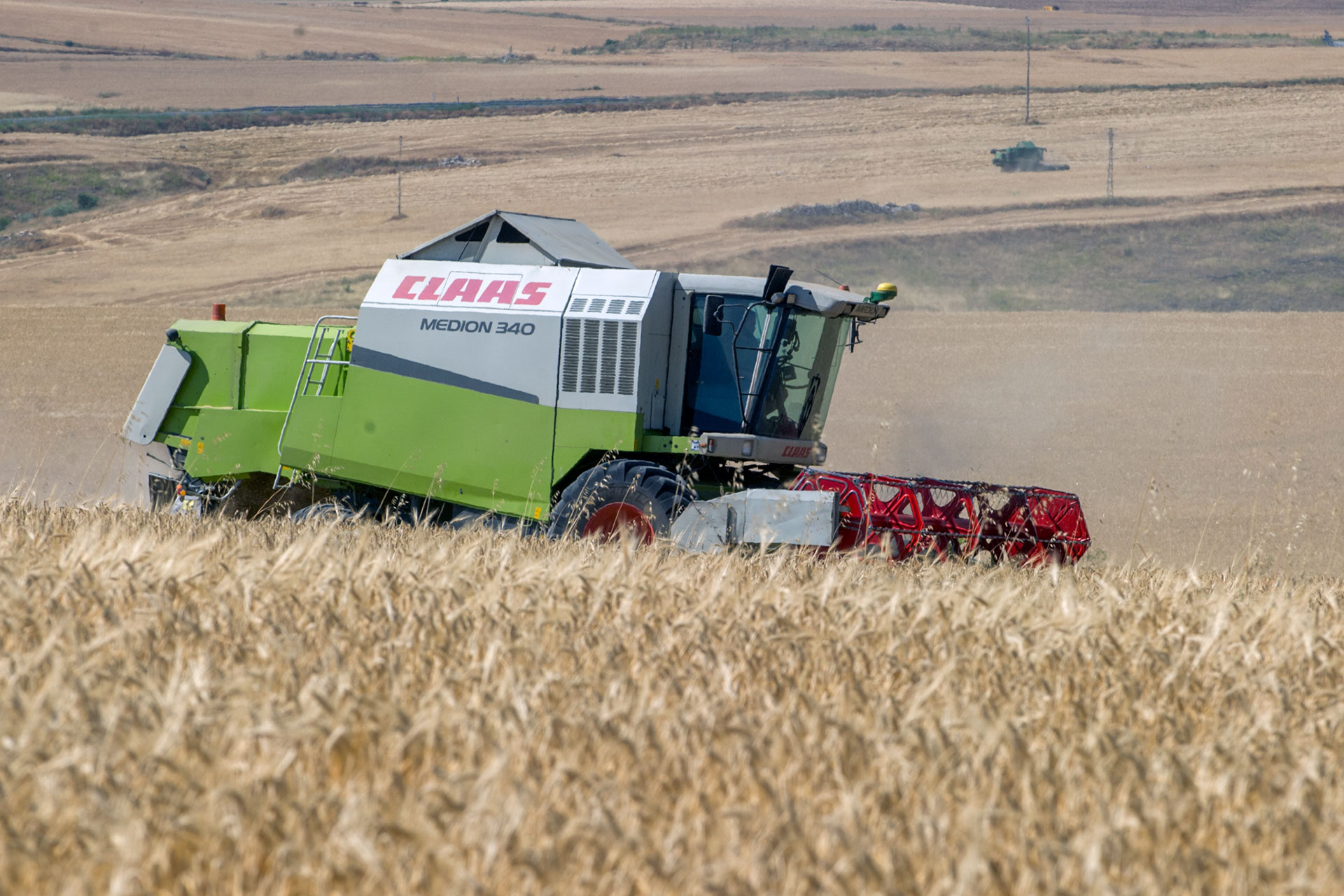 Cosecha Trigo Alcazar Catedral KAM0225