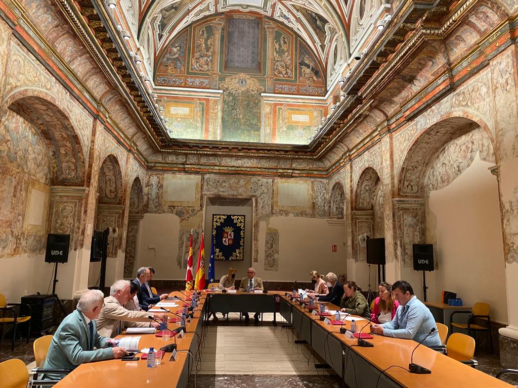 Pleno de la Mesa de la Tauromaquia. / JCYL