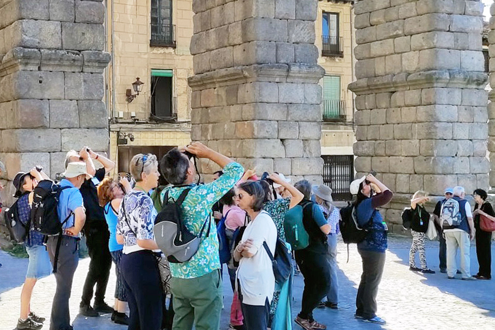 congreso internacional vencejos 6