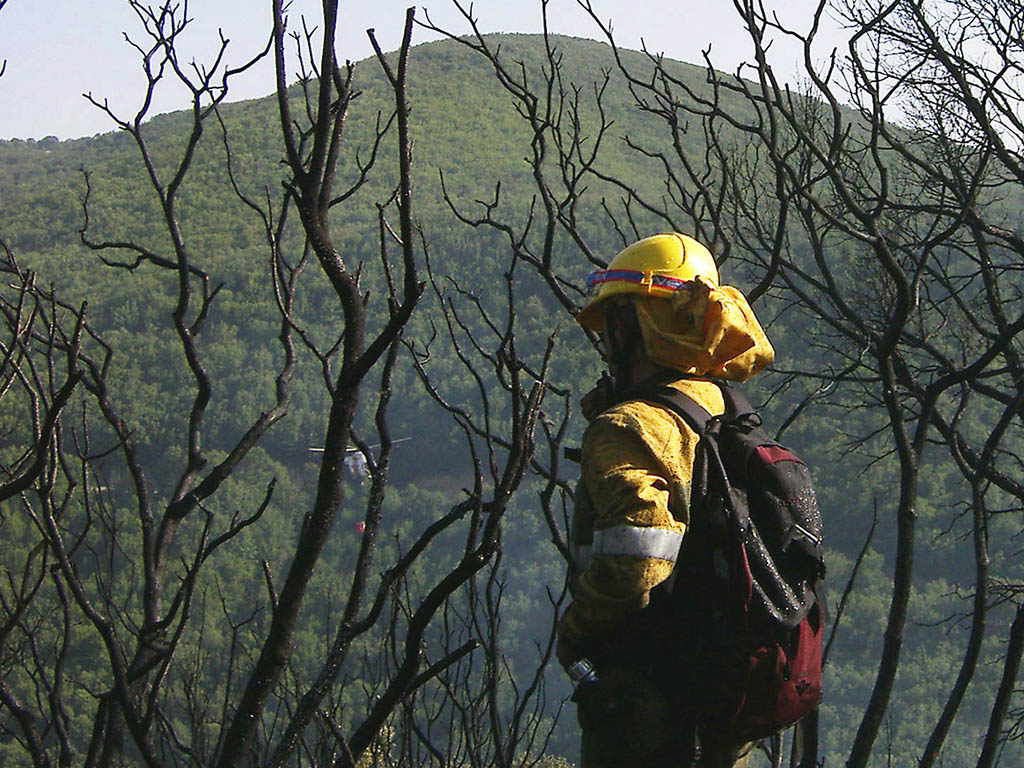 Personal forestal, en la extinción de un incendio. / JUNTA DE CASTILLA Y LEÓN